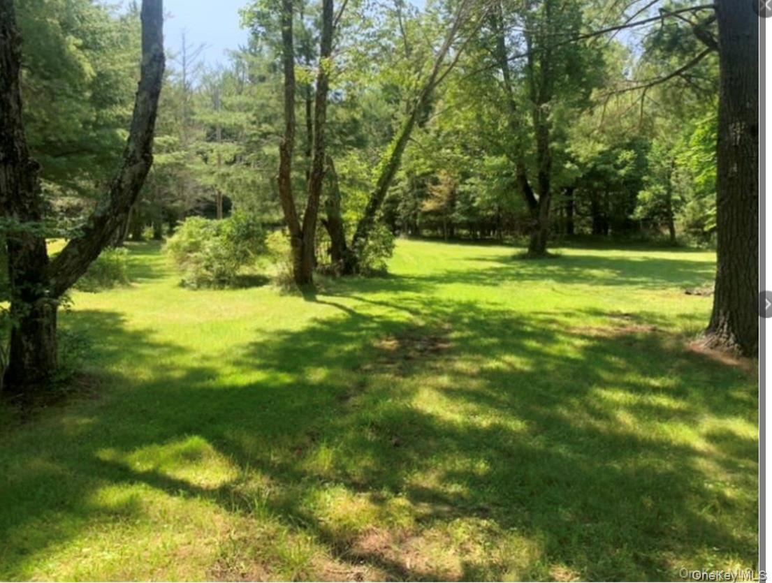 Single Family Briggs Ulster County, NY 12428, MLS-917920-8