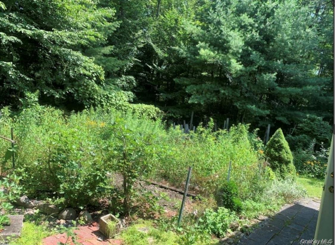 Single Family Briggs Ulster County, NY 12428, MLS-917920-9