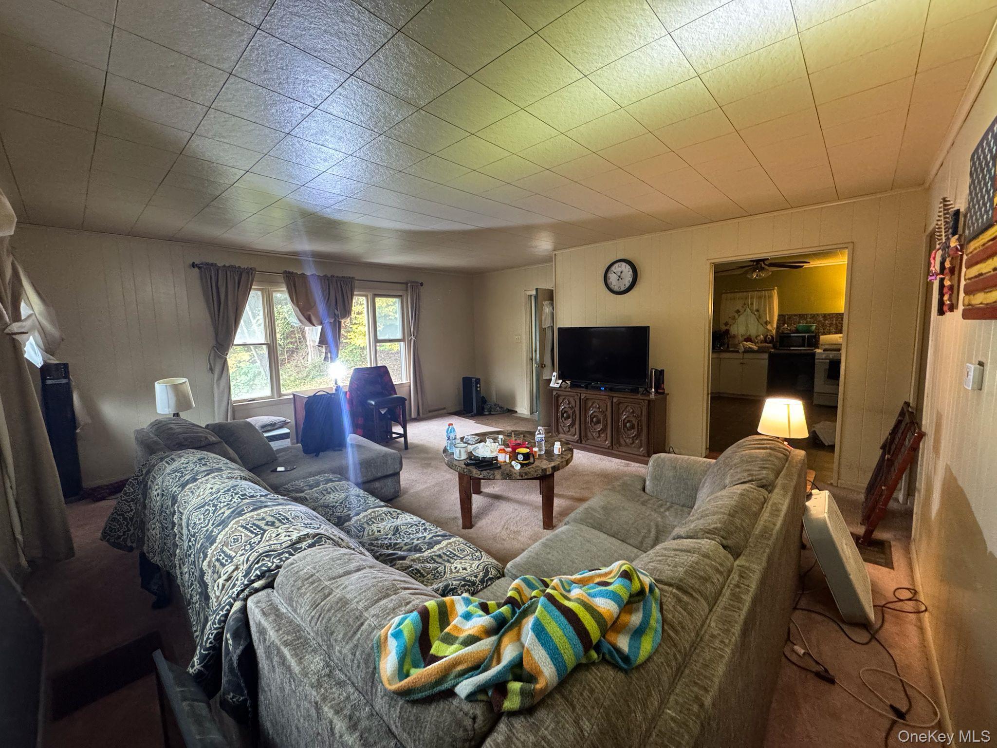 Single Family County Road 95  Sullivan County, NY 12766, MLS-917937-7