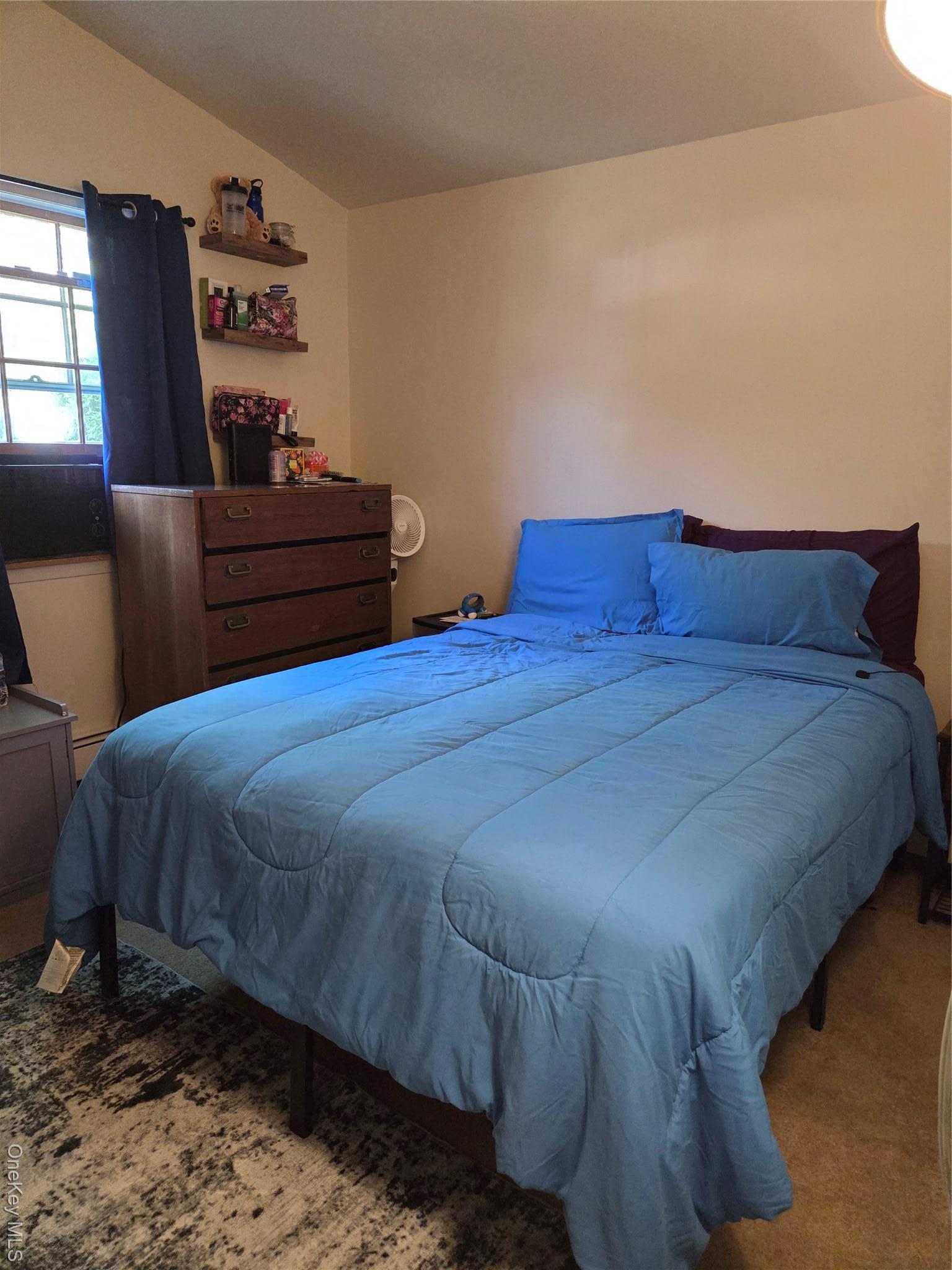 Single Family Drive Suffolk County, NY 11967, MLS-917987-12