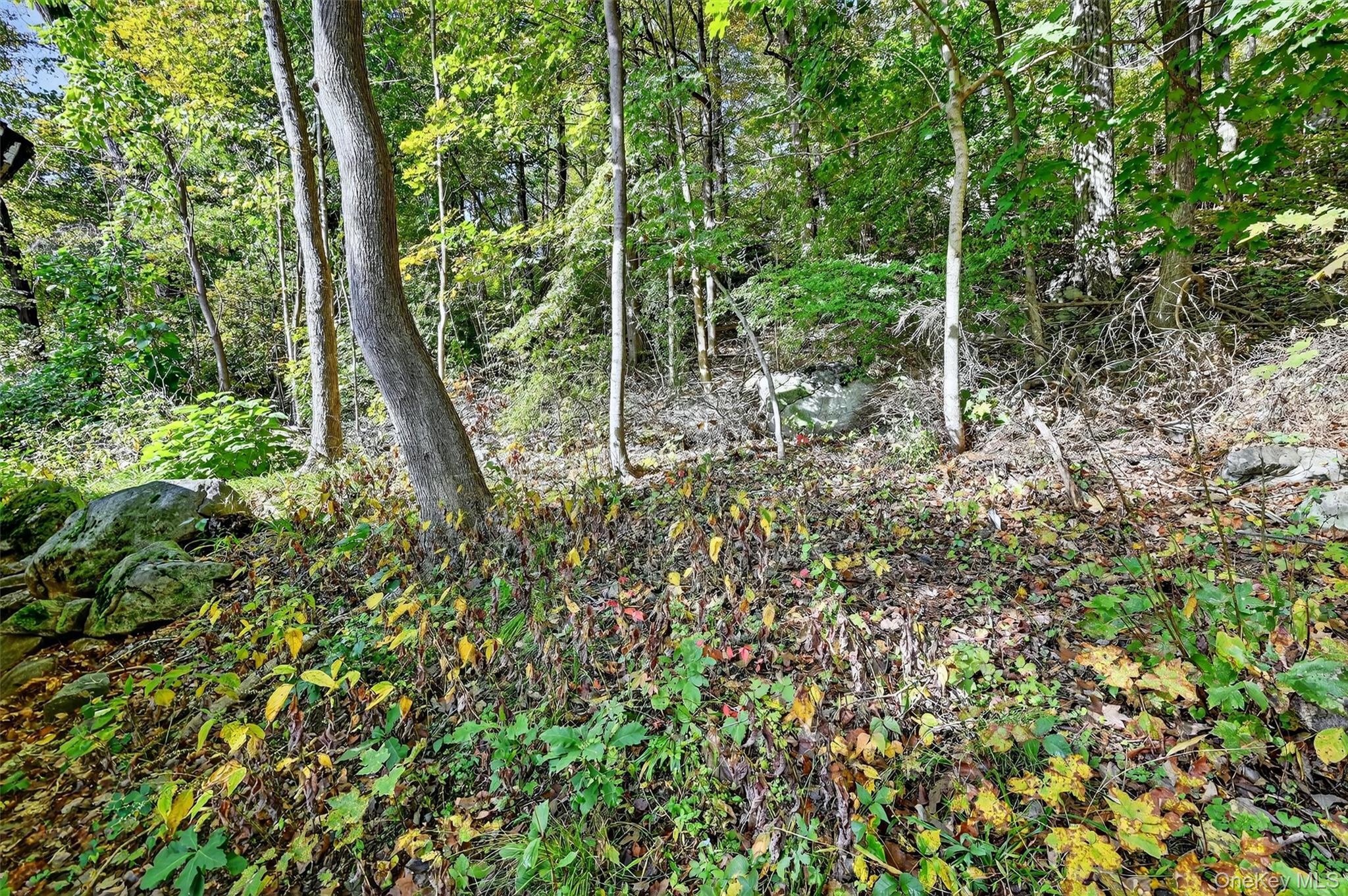 Single Family Richard  Rockland County, NY 10974, MLS-918024-7