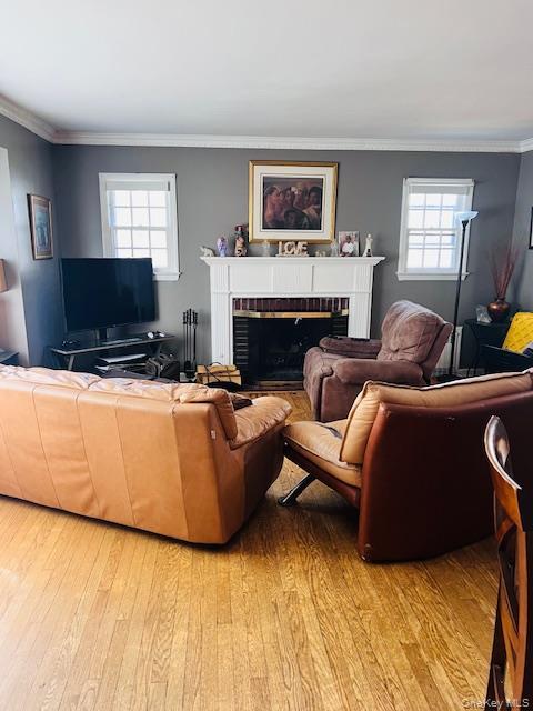 Single Family Camdike St  Nassau County, NY 11580, MLS-918041-10