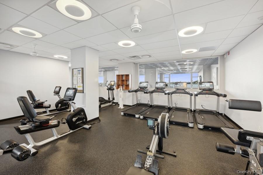 Coop Powells Cove  Queens, NY 11357, MLS-918079-29