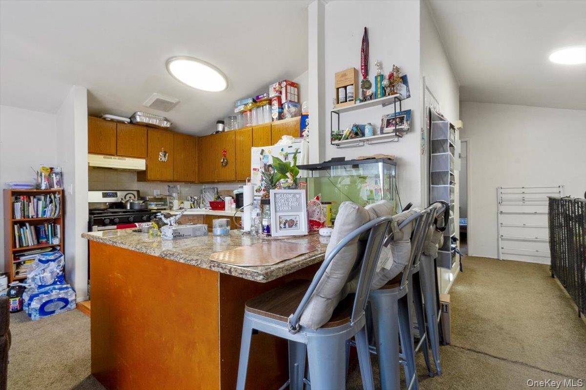 Single Family Boller  Bronx, NY 10466, MLS-918144-17