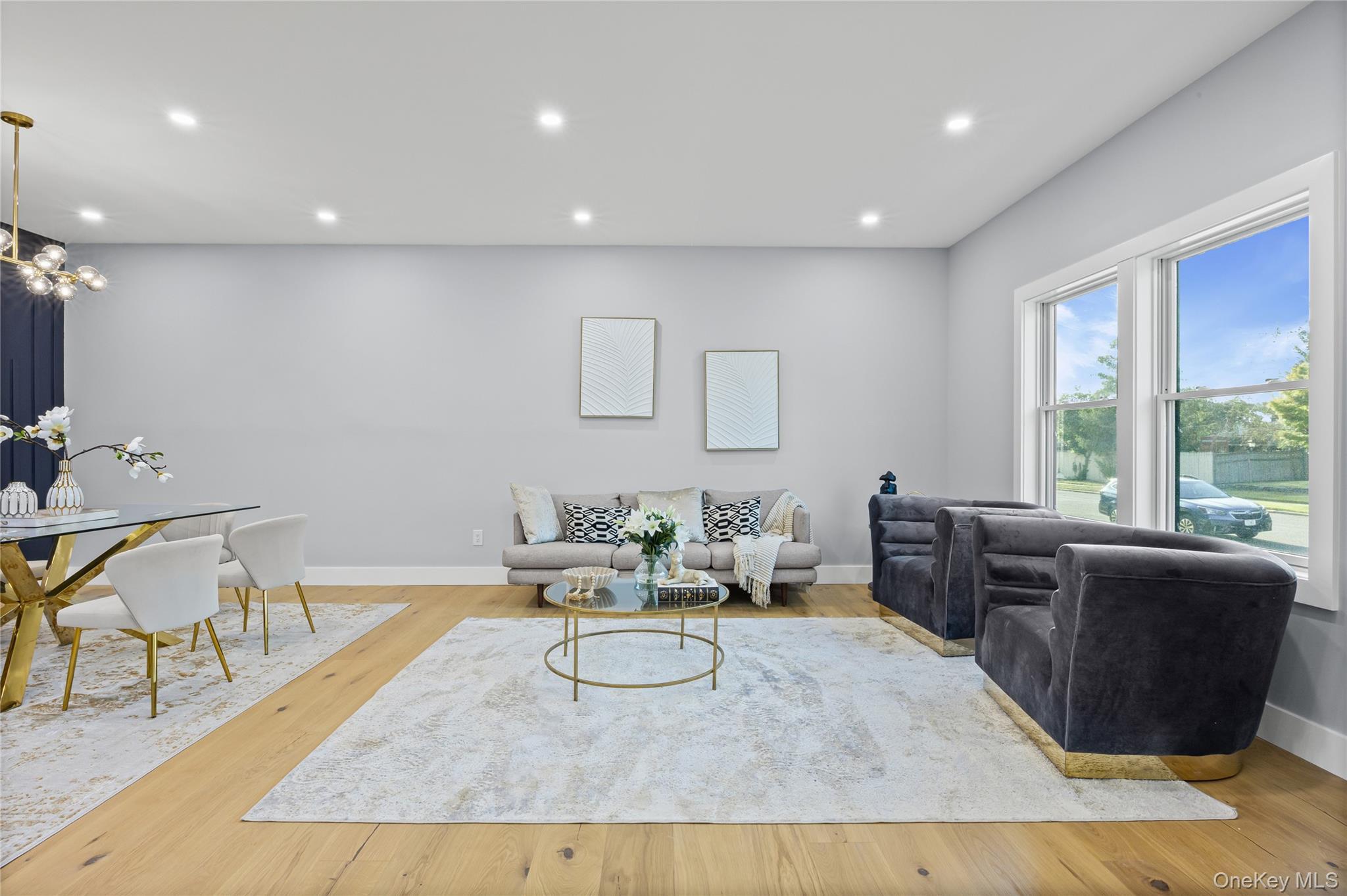 Single Family Crown Nassau County, NY 11590, MLS-918189-8