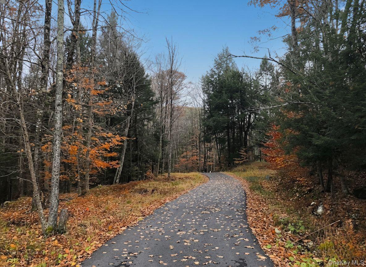 Single Family Barlow  Out Of Area, NY 12078, MLS-918258-30