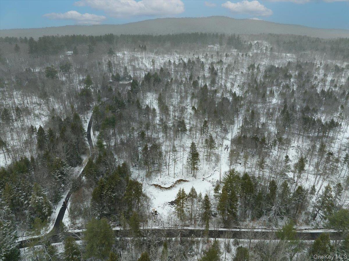 Single Family Barlow  Out Of Area, NY 12078, MLS-918258-35