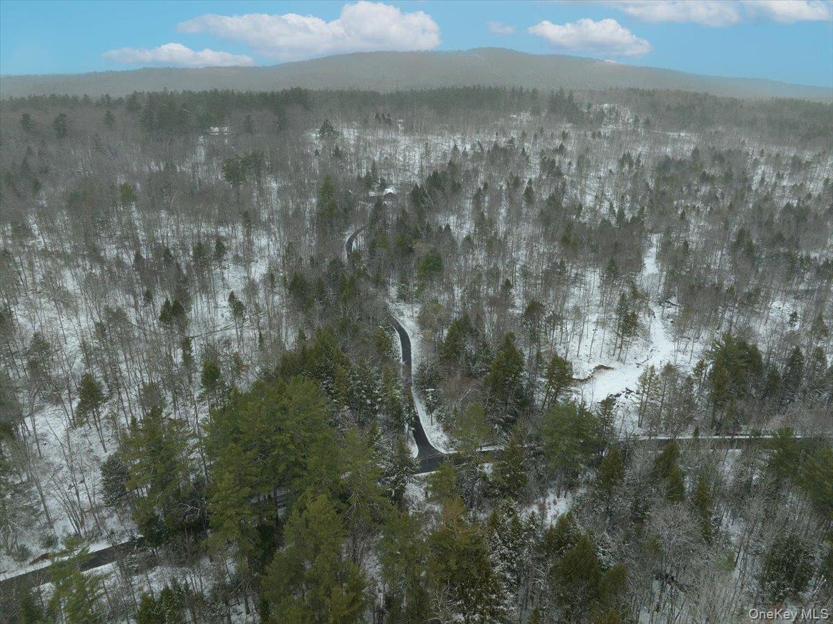 Single Family Barlow  Out Of Area, NY 12078, MLS-918258-36