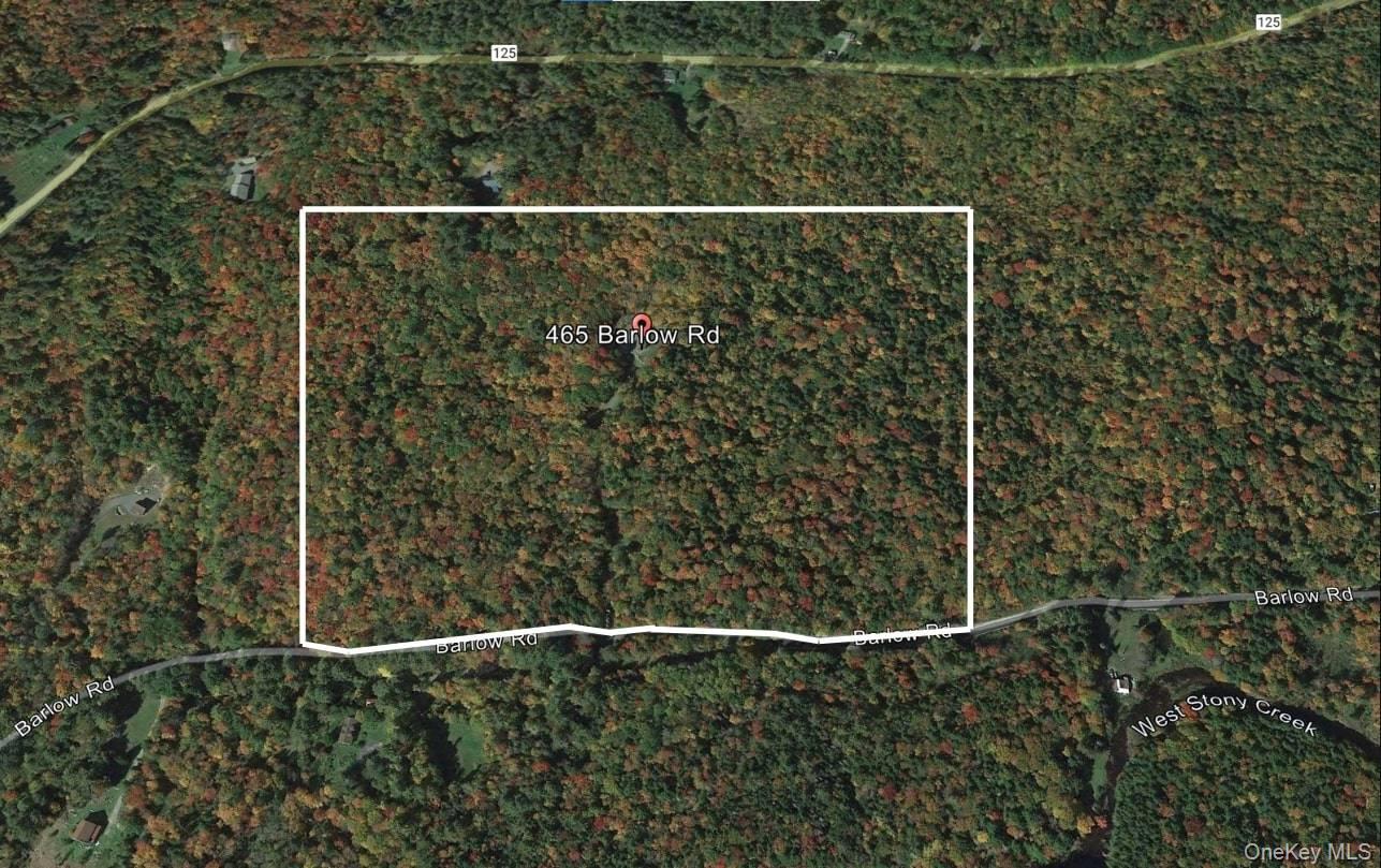 Single Family Barlow  Out Of Area, NY 12078, MLS-918258-38