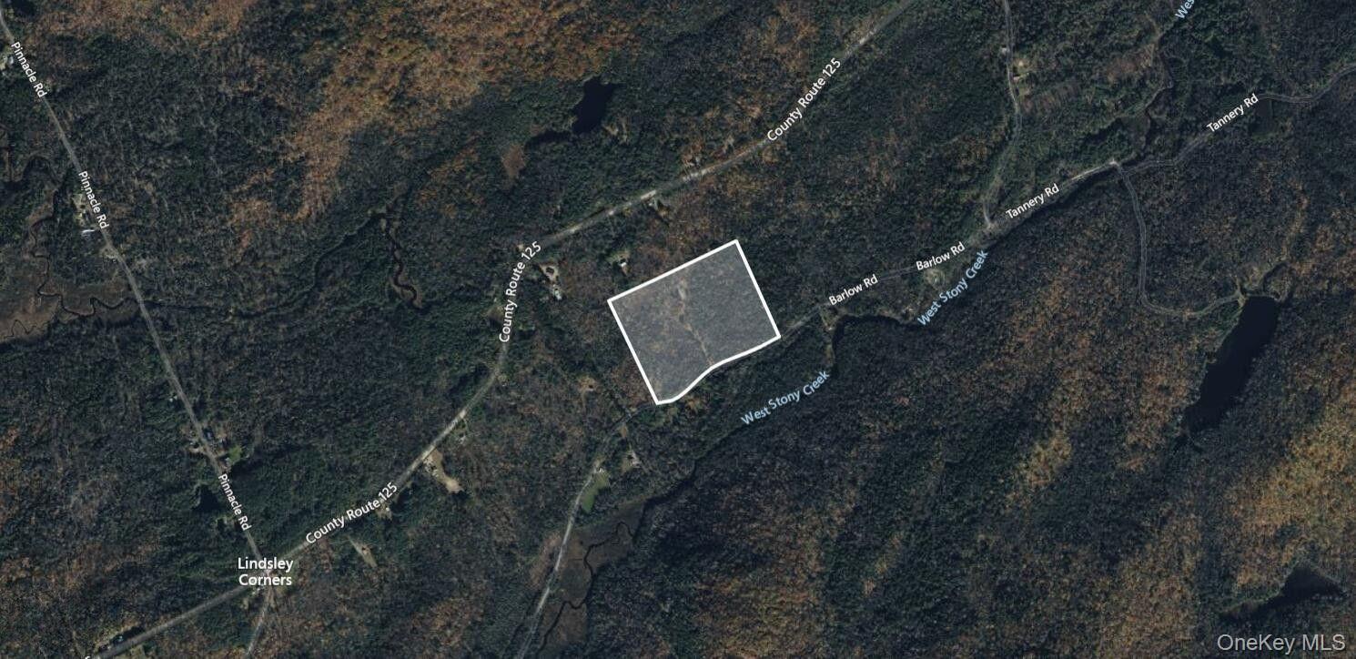 Single Family Barlow  Out Of Area, NY 12078, MLS-918258-39