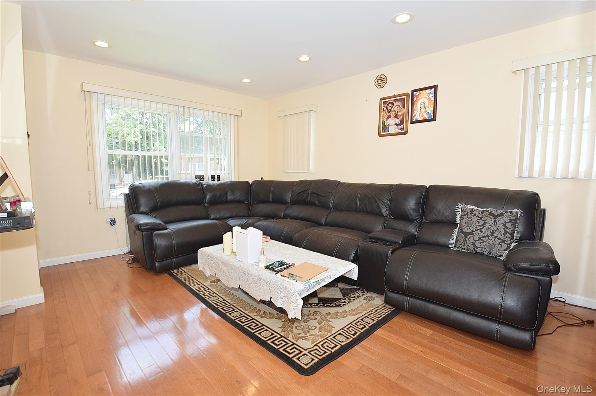 Single Family 251 Queens, NY 11426, MLS-918281-3