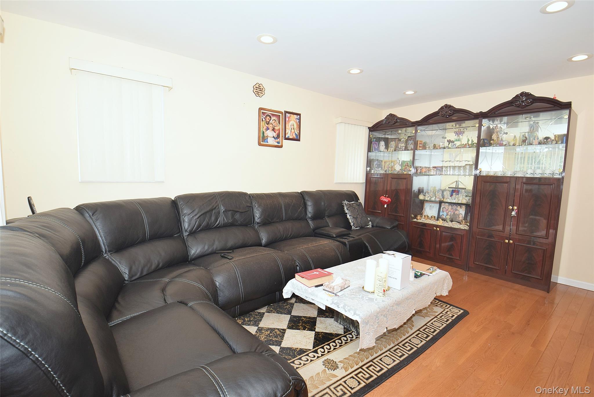 Single Family 251 Queens, NY 11426, MLS-918281-5