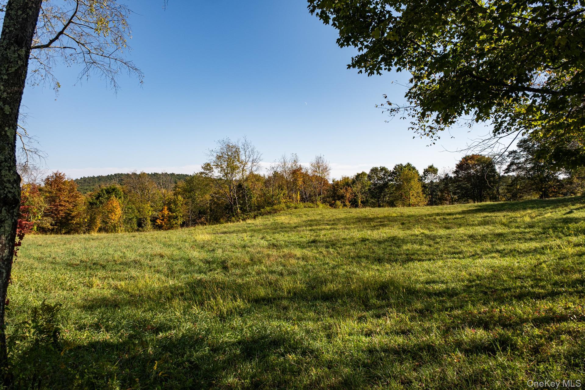 Single Family Melius  Out Of Area, NY 06754-1503, MLS-918309-34