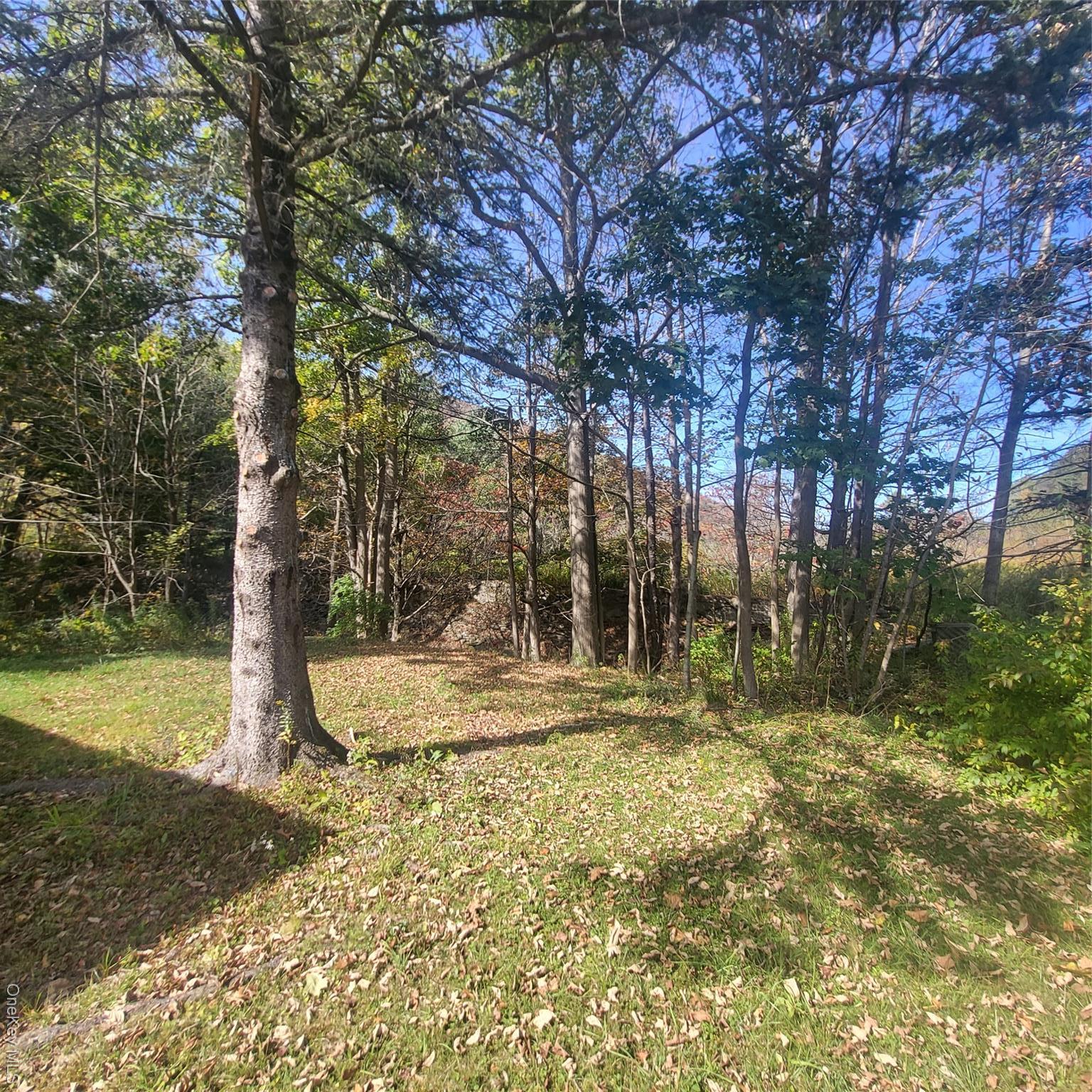 Single Family Friendship Manor  Ulster County, NY 12465, MLS-918378-15