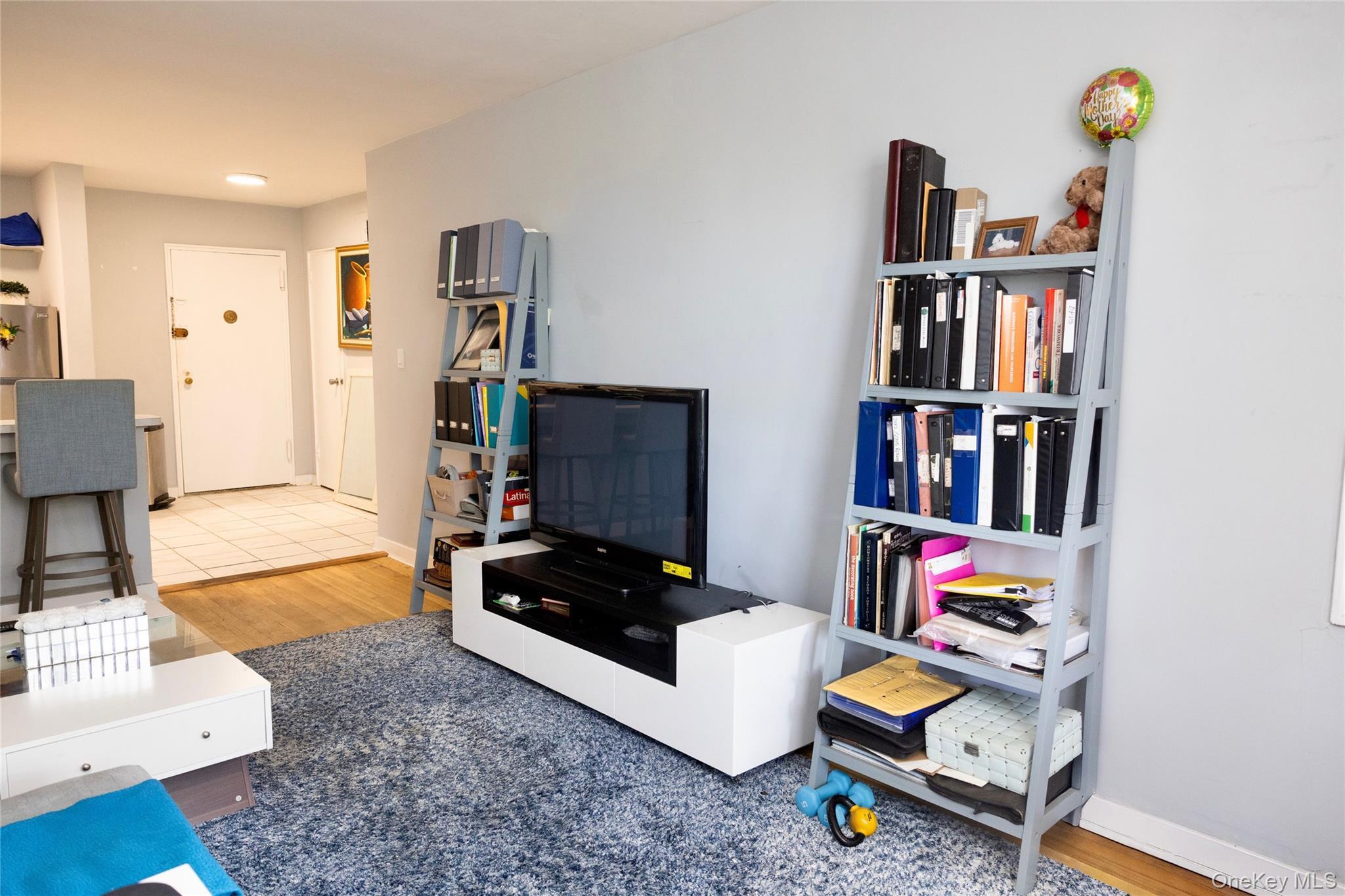 Coop Netherland  Bronx, NY 10463, MLS-918567-3