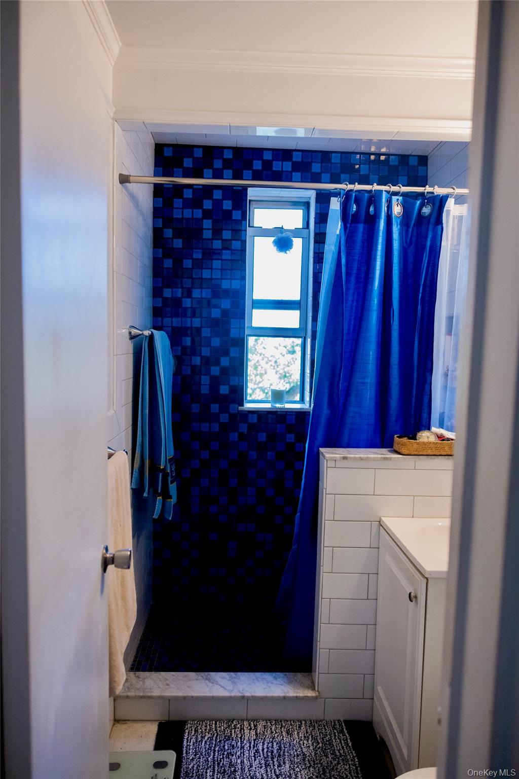 Coop Netherland  Bronx, NY 10463, MLS-918567-8