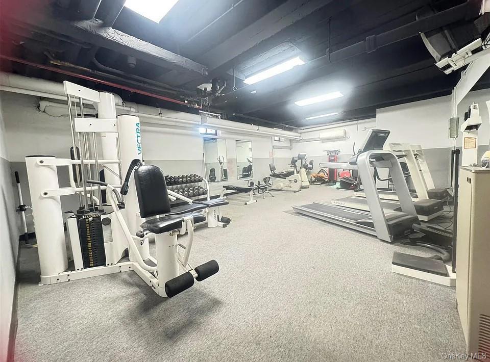 Coop 31  Queens, NY 11354, MLS-918576-5