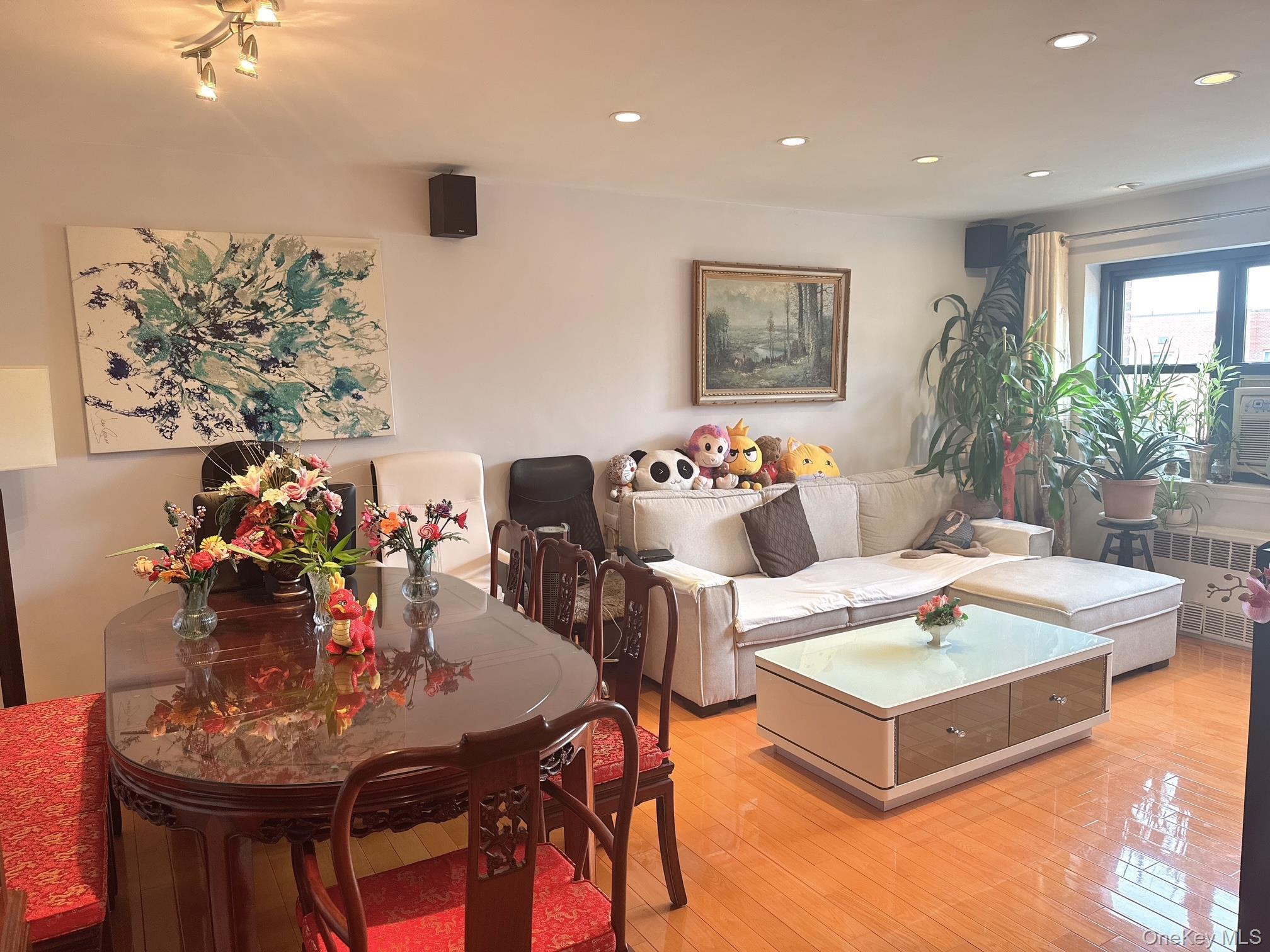 Coop 31  Queens, NY 11354, MLS-918576-6