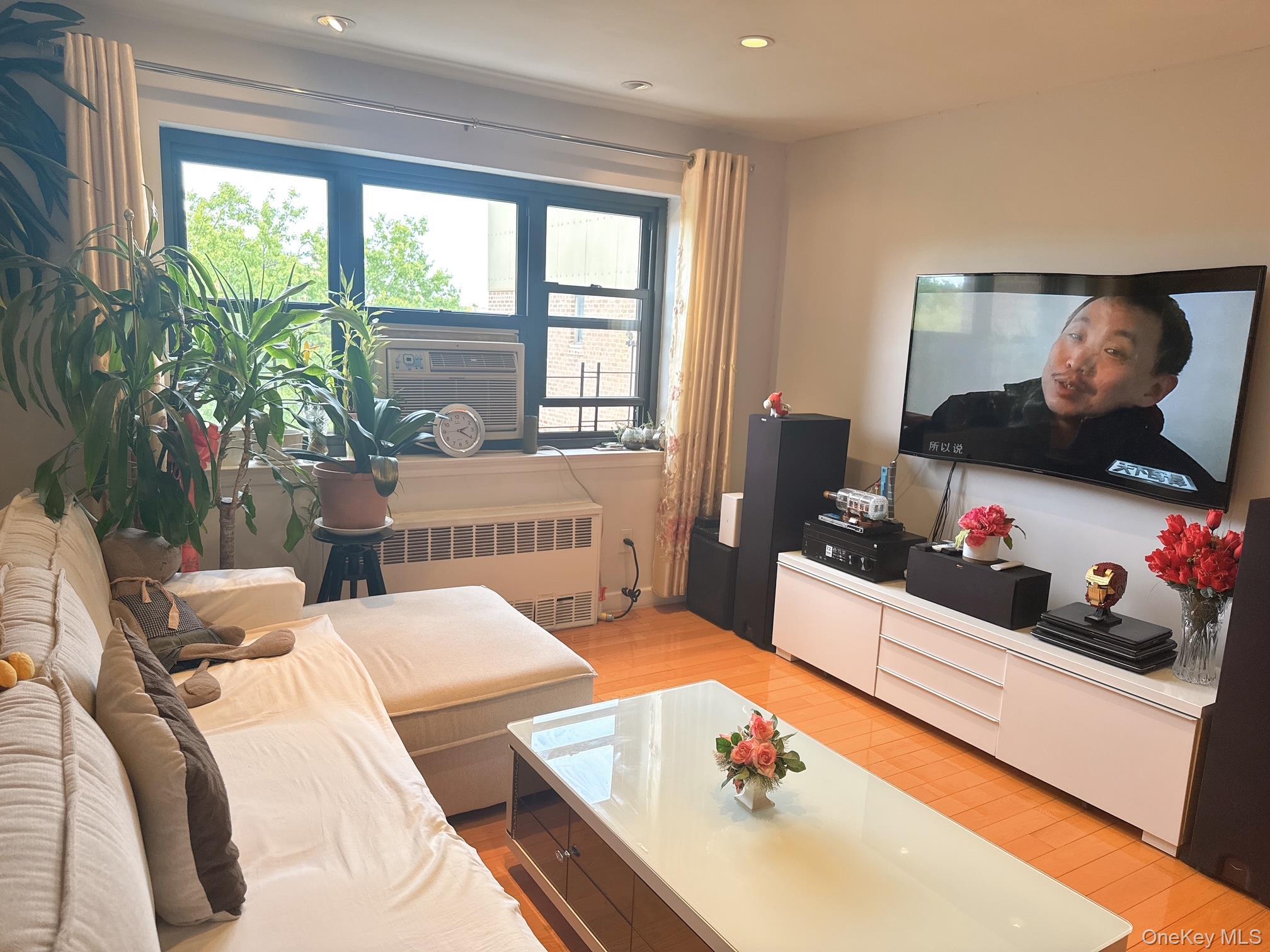 Coop 31  Queens, NY 11354, MLS-918576-7