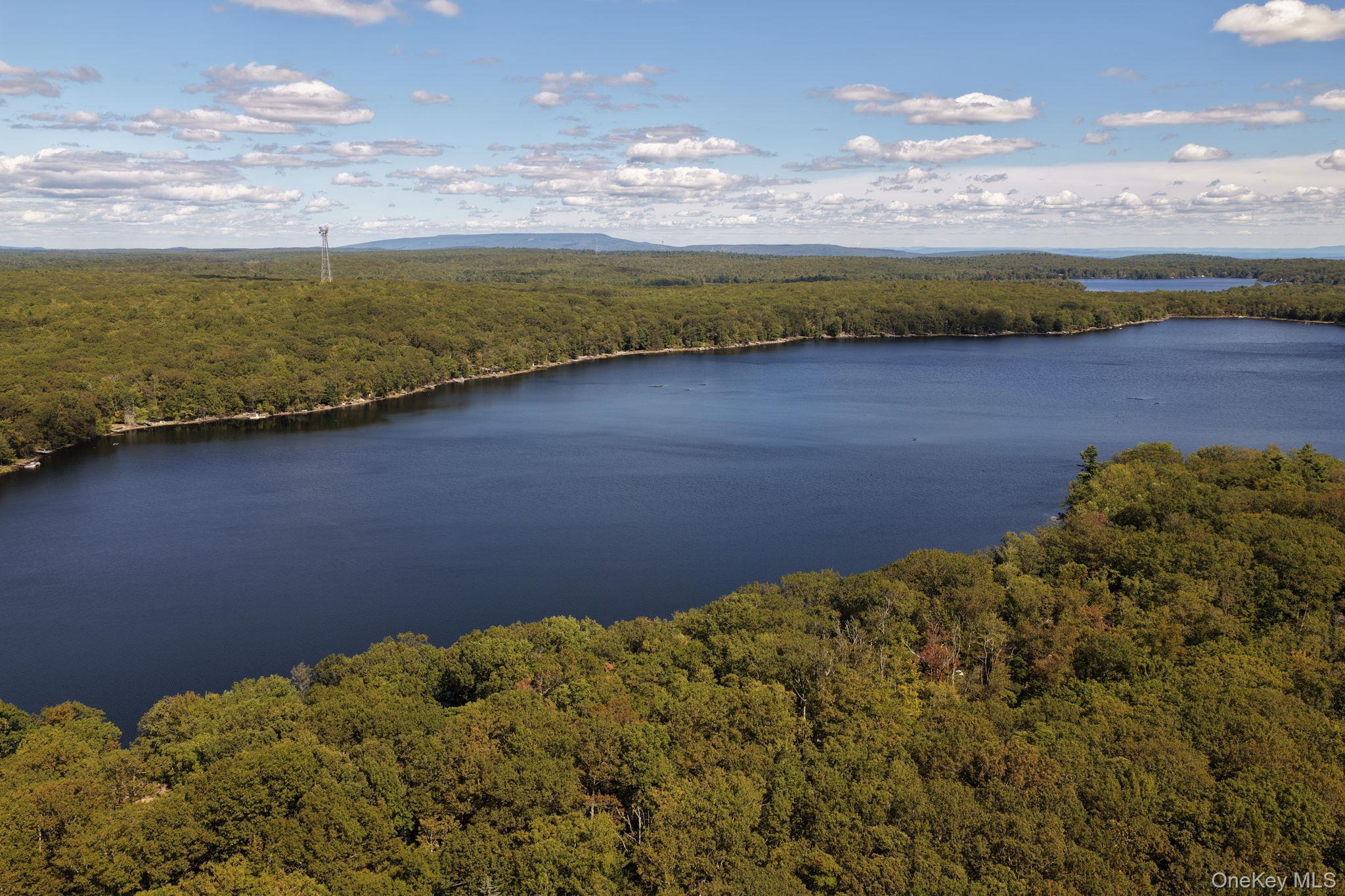 Single Family Shore Shore Sullivan County, NY 12790, MLS-918587-2