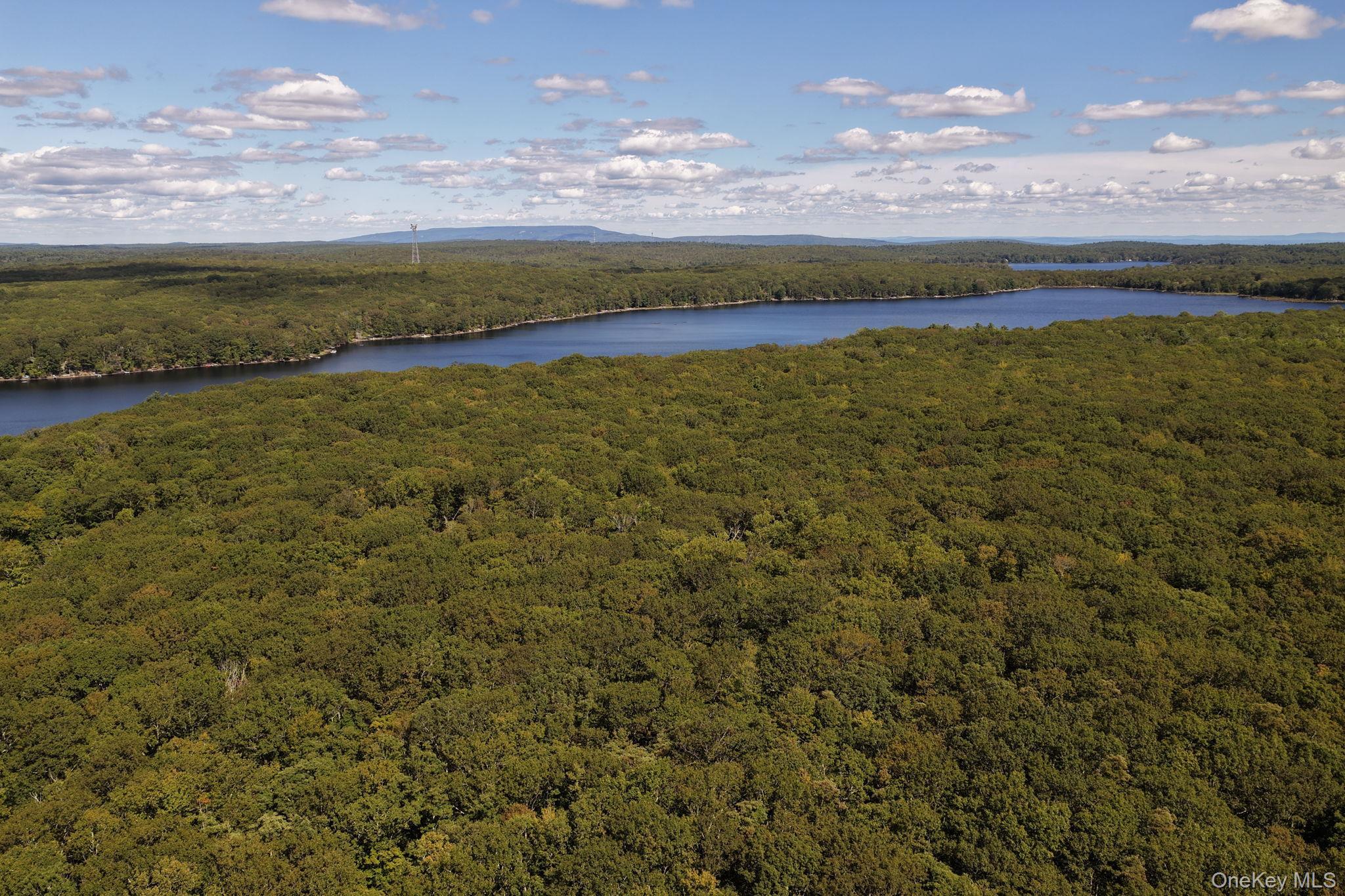 Single Family Shore Shore Sullivan County, NY 12790, MLS-918587-34