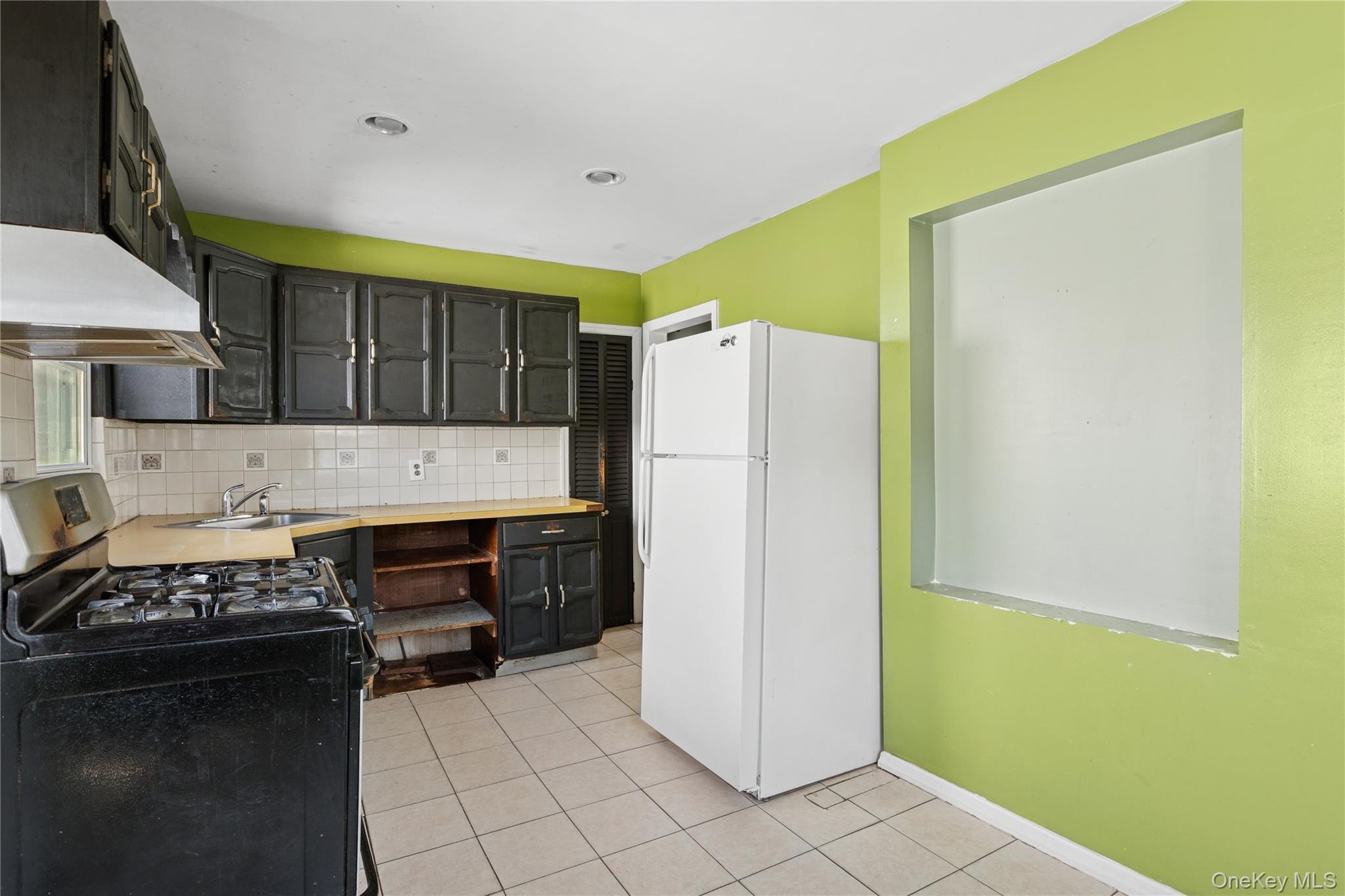 Single Family Locust Nassau County, NY 11553, MLS-918610-10