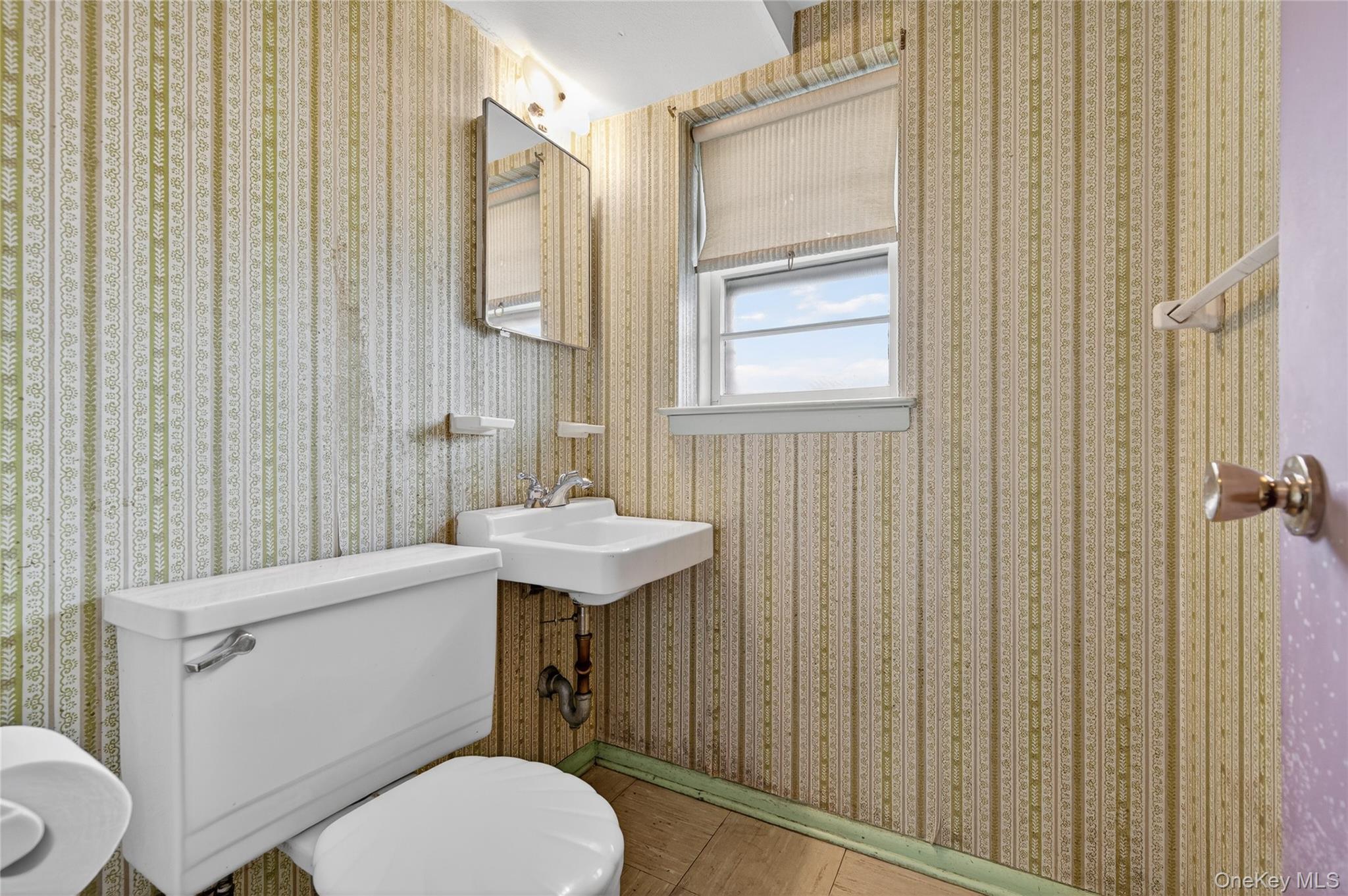 Single Family 206th  Queens, NY 11360, MLS-918621-19