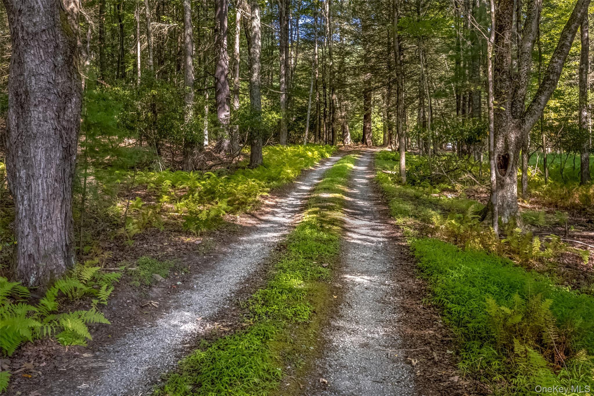 Single Family Lackawack Hill  Ulster County, NY 12458, MLS-918632-2