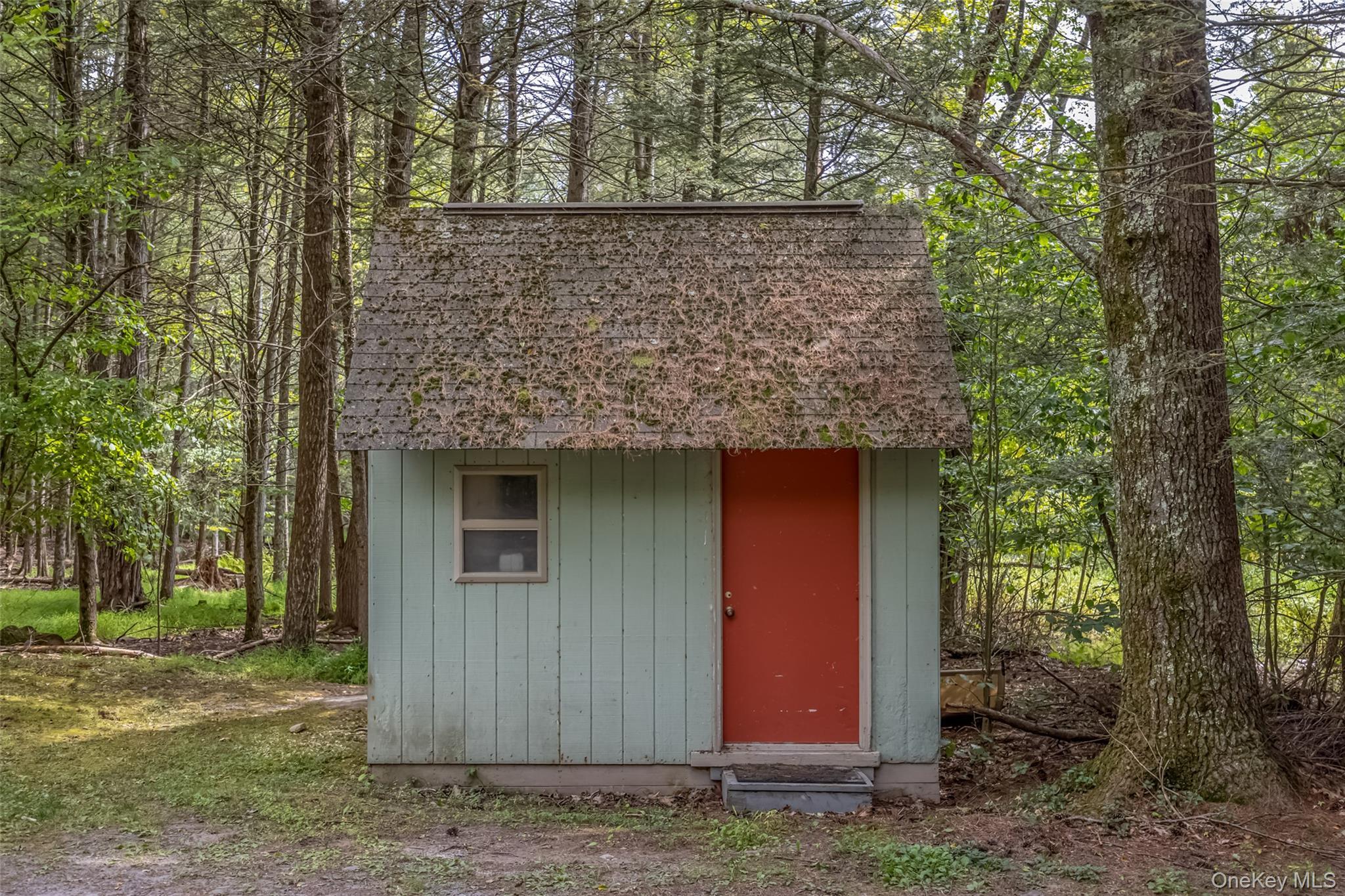 Single Family Lackawack Hill  Ulster County, NY 12458, MLS-918632-32