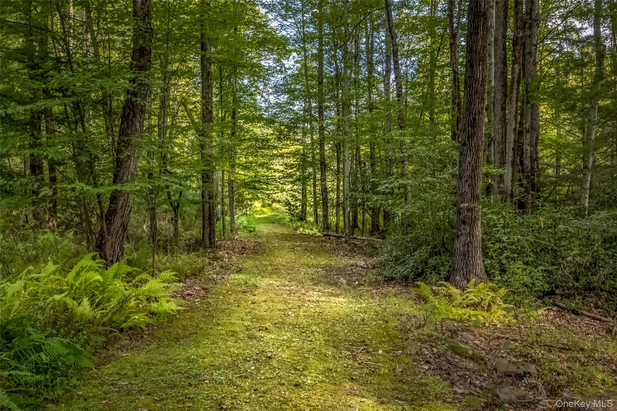 Single Family Lackawack Hill  Ulster County, NY 12458, MLS-918632-5