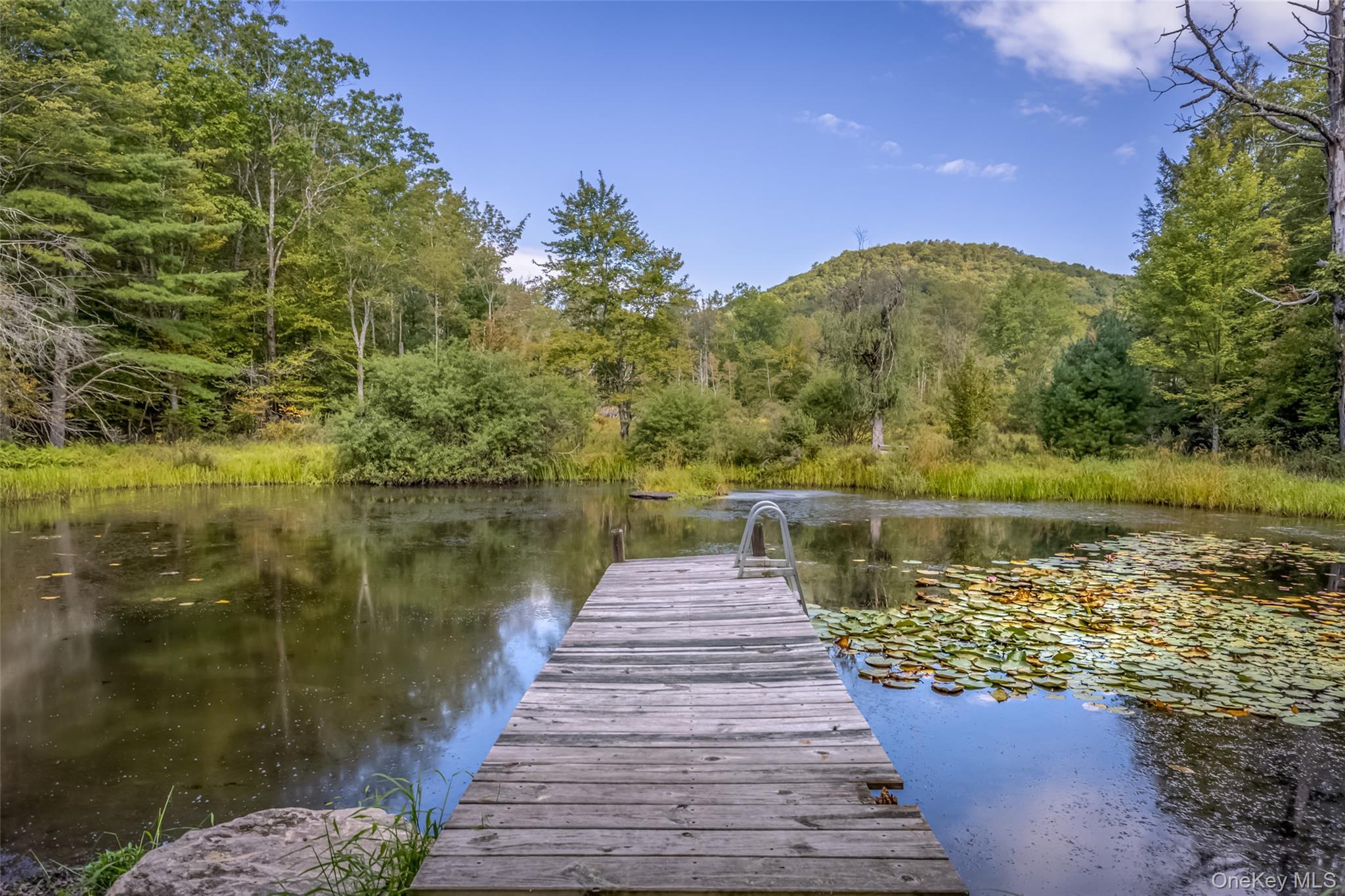 Single Family Lackawack Hill  Ulster County, NY 12458, MLS-918632-6