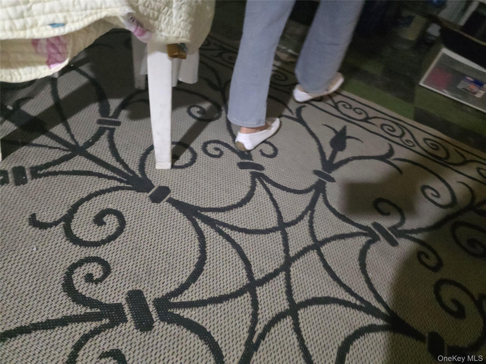 Single Family 111 St Queens, NY 11368, MLS-918695-13