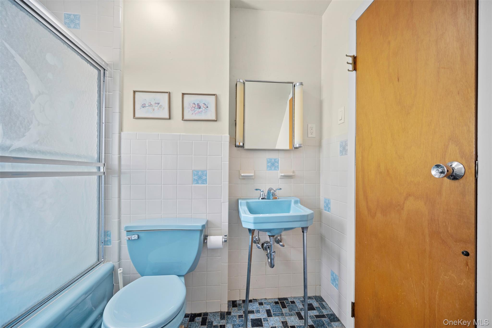 Single Family 6th  Nassau County, NY 11040, MLS-918752-24