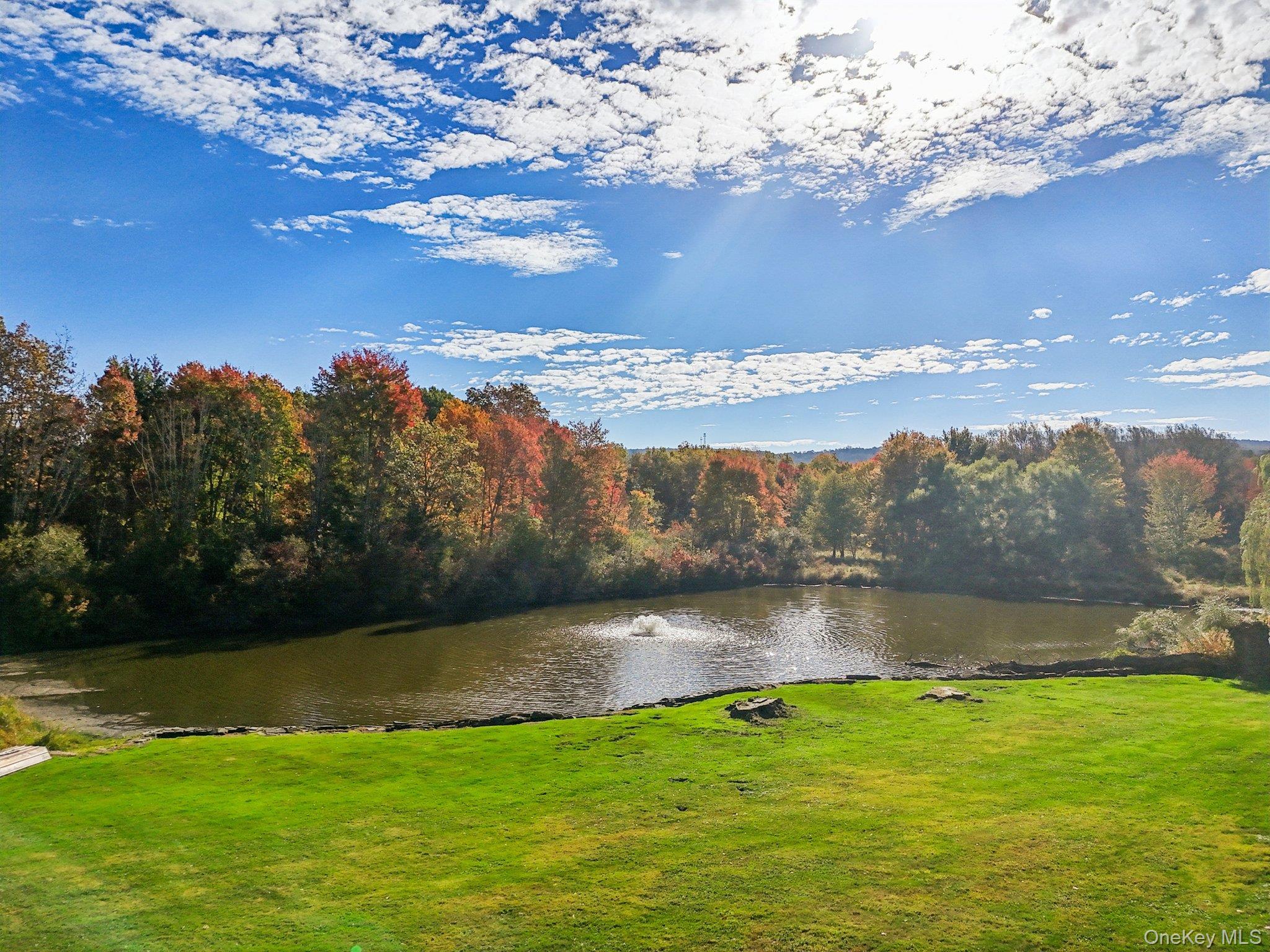 Single Family Upper Wisner Orange County, NY 10990, MLS-918754-41