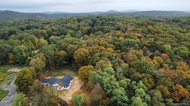 Single Family Route 52 Dutchess County, NY 12582, MLS-918793-28