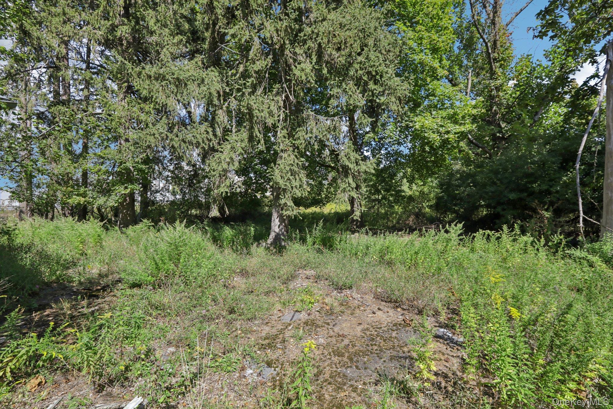 Single Family Route 17k  Orange County, NY 12550, MLS-918799-8