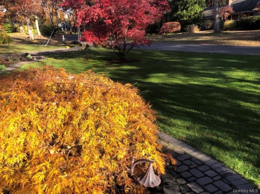 Single Family Surry Hill  Suffolk County, NY 11743, MLS-918832-29