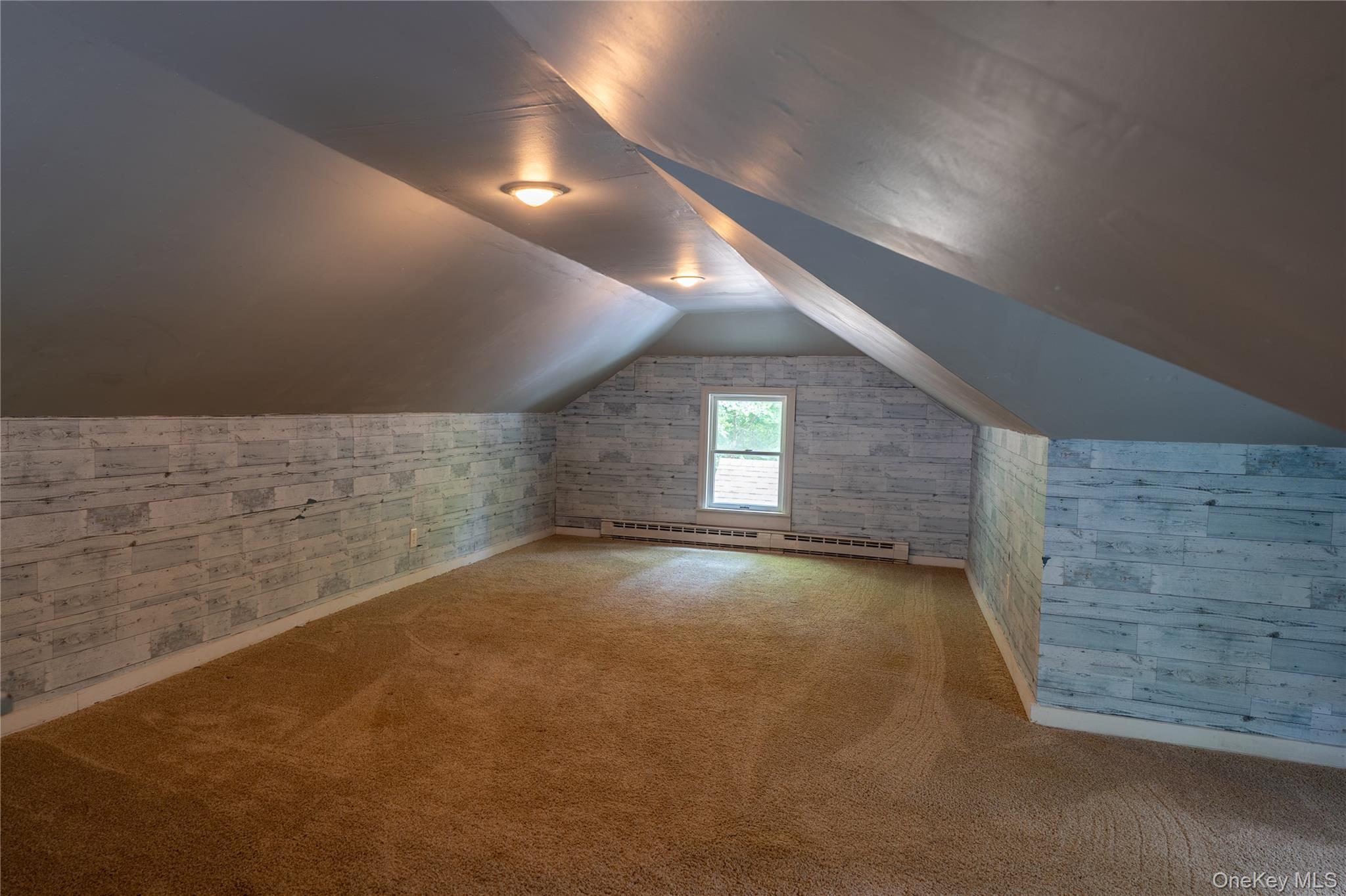 Single Family Gypsy Point Road Greene County, NY 12414, MLS-918839-19