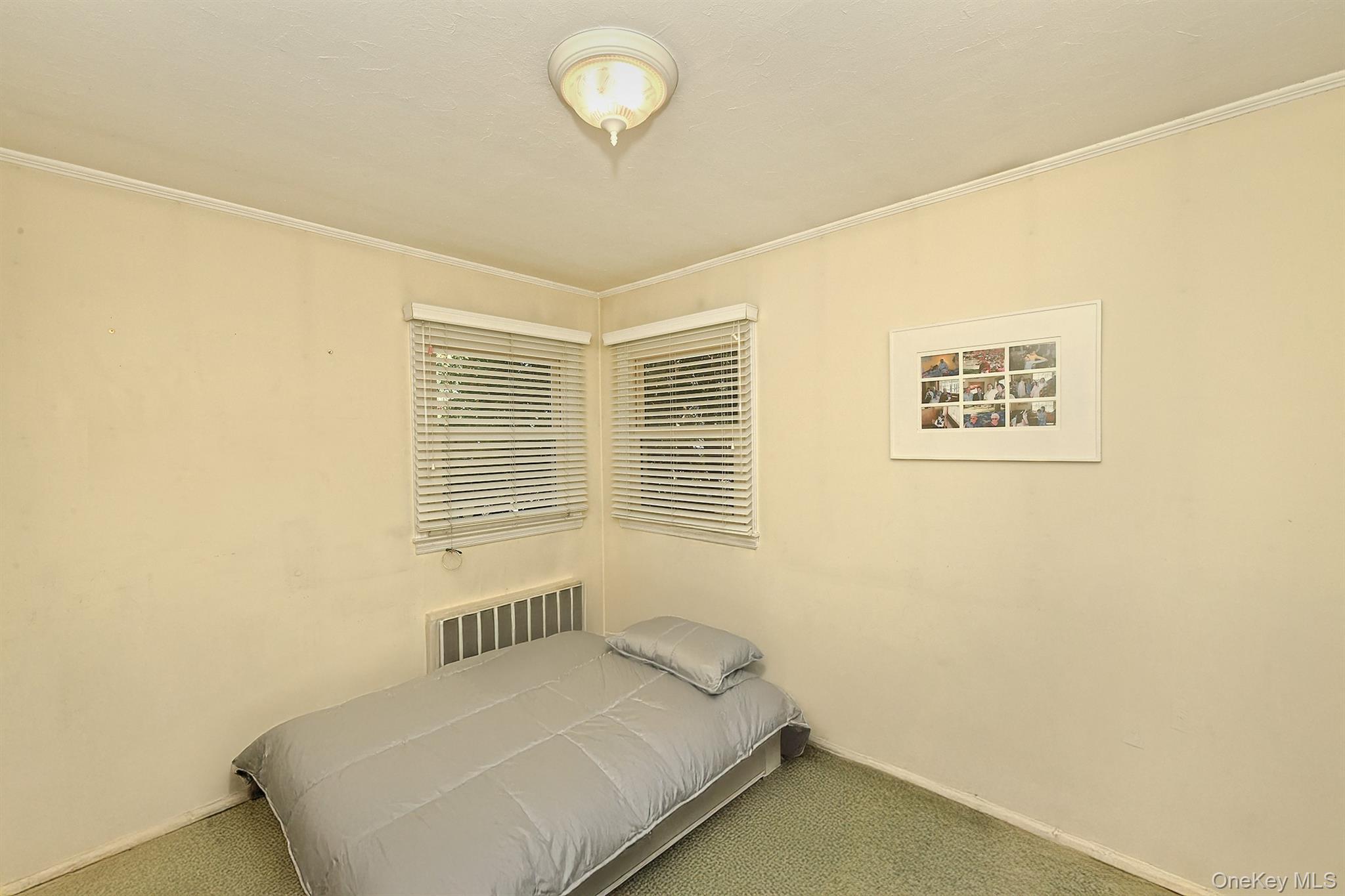 Single Family Crown  Nassau County, NY 11793, MLS-918867-19