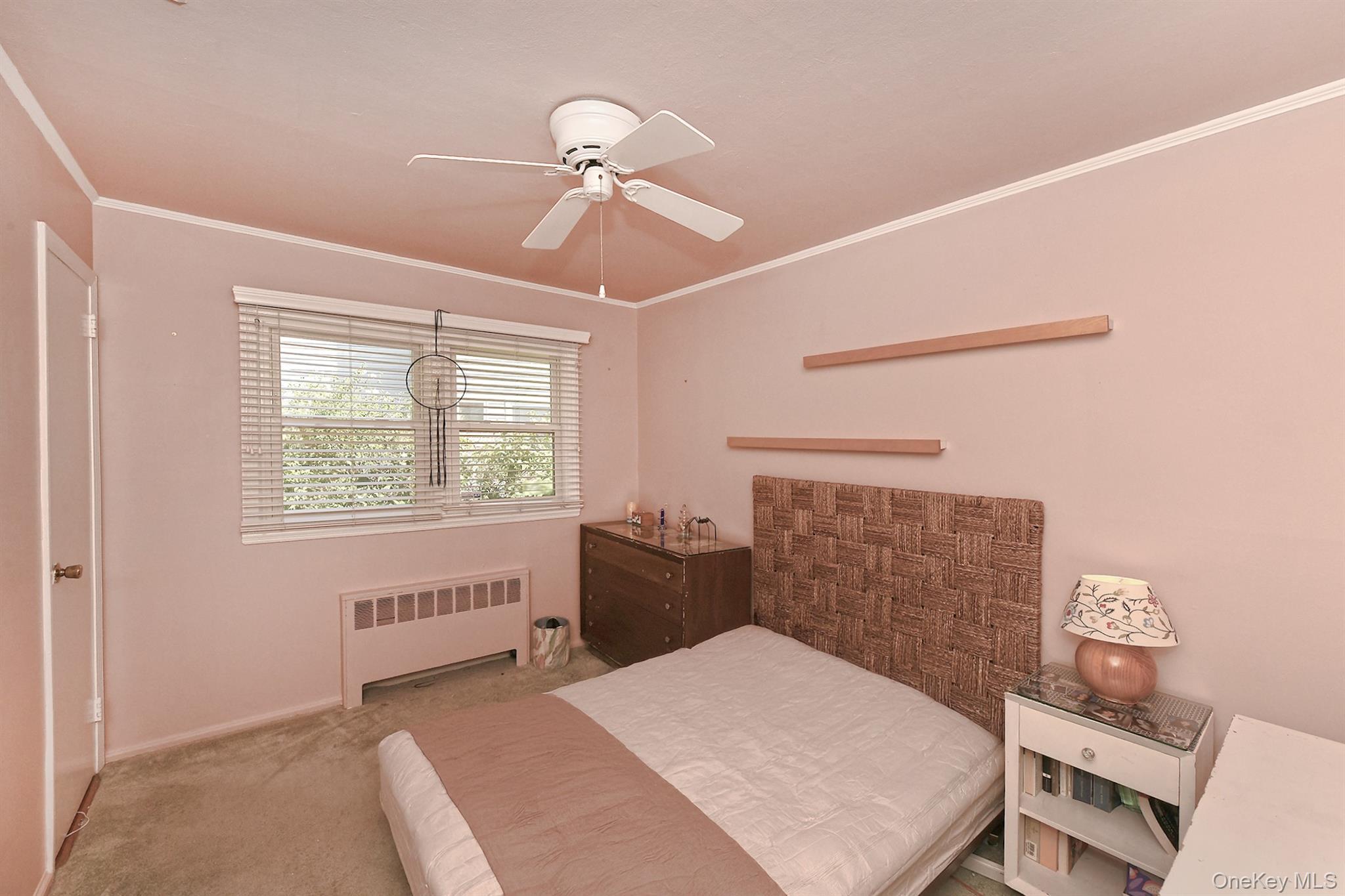 Single Family Crown  Nassau County, NY 11793, MLS-918867-21