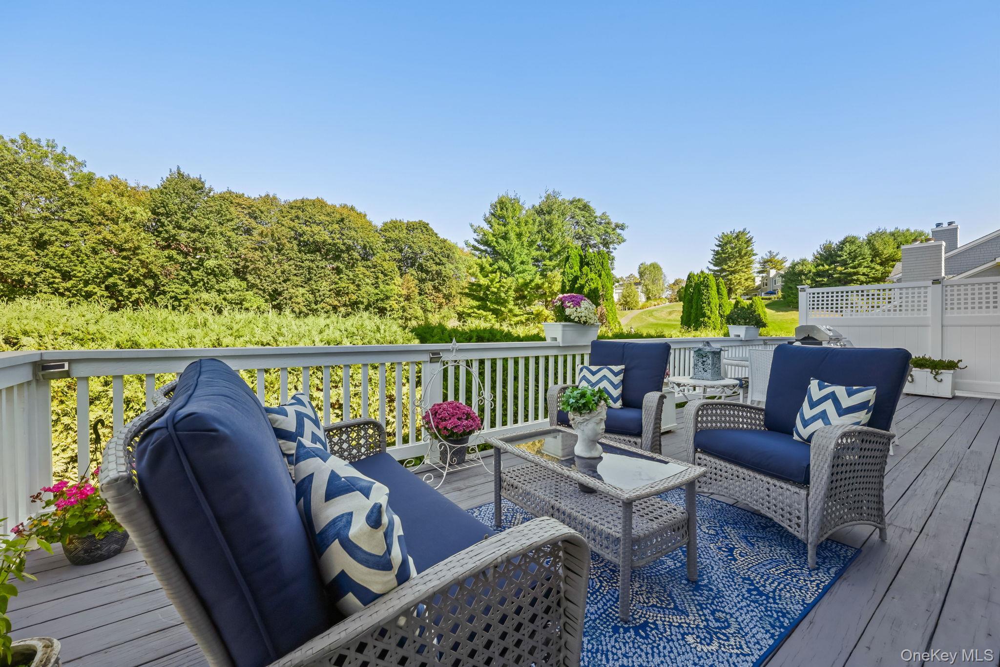 Single Family Club Westchester County, NY 10570, MLS-919097-25