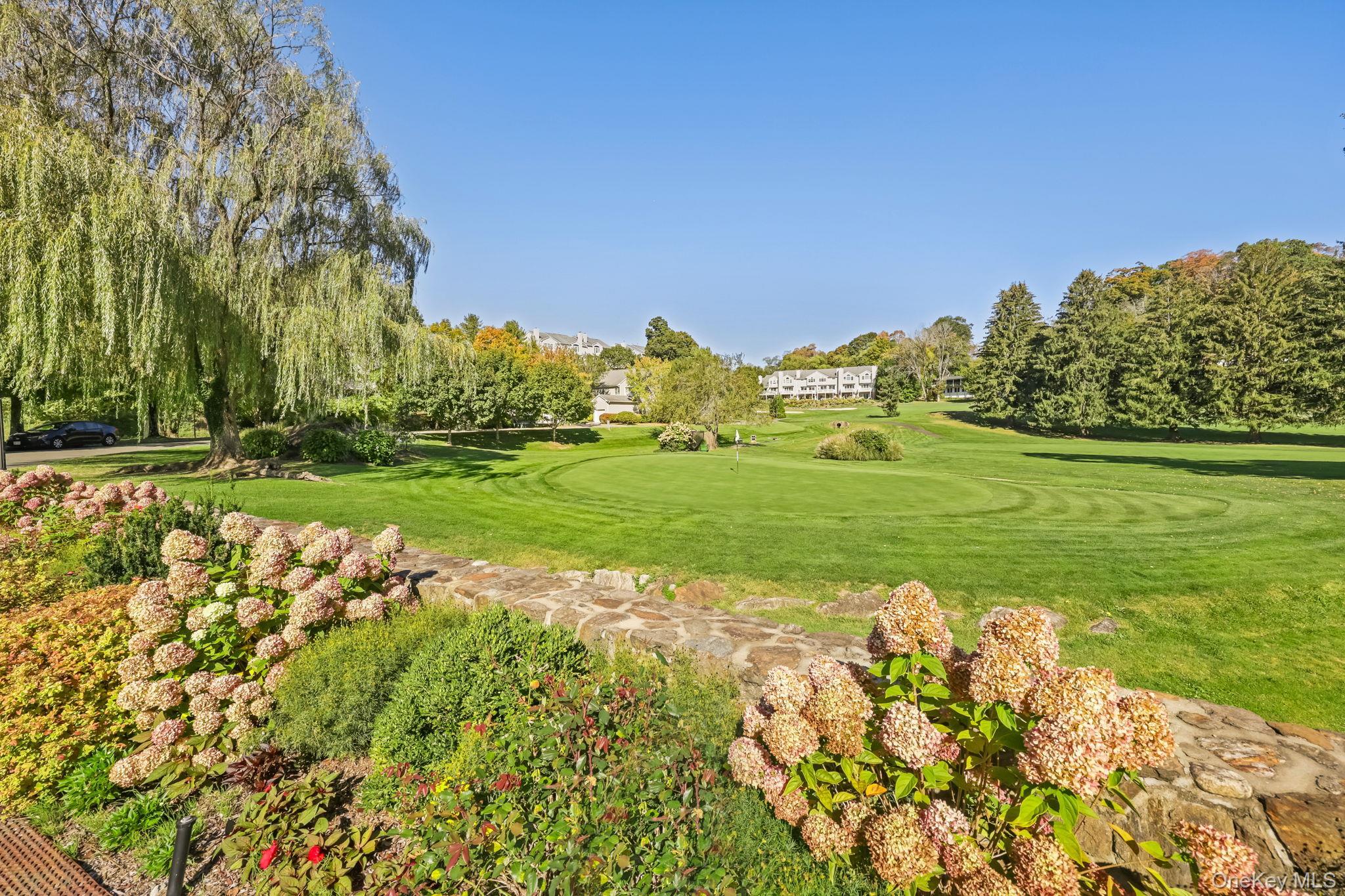 Single Family Club Westchester County, NY 10570, MLS-919097-43