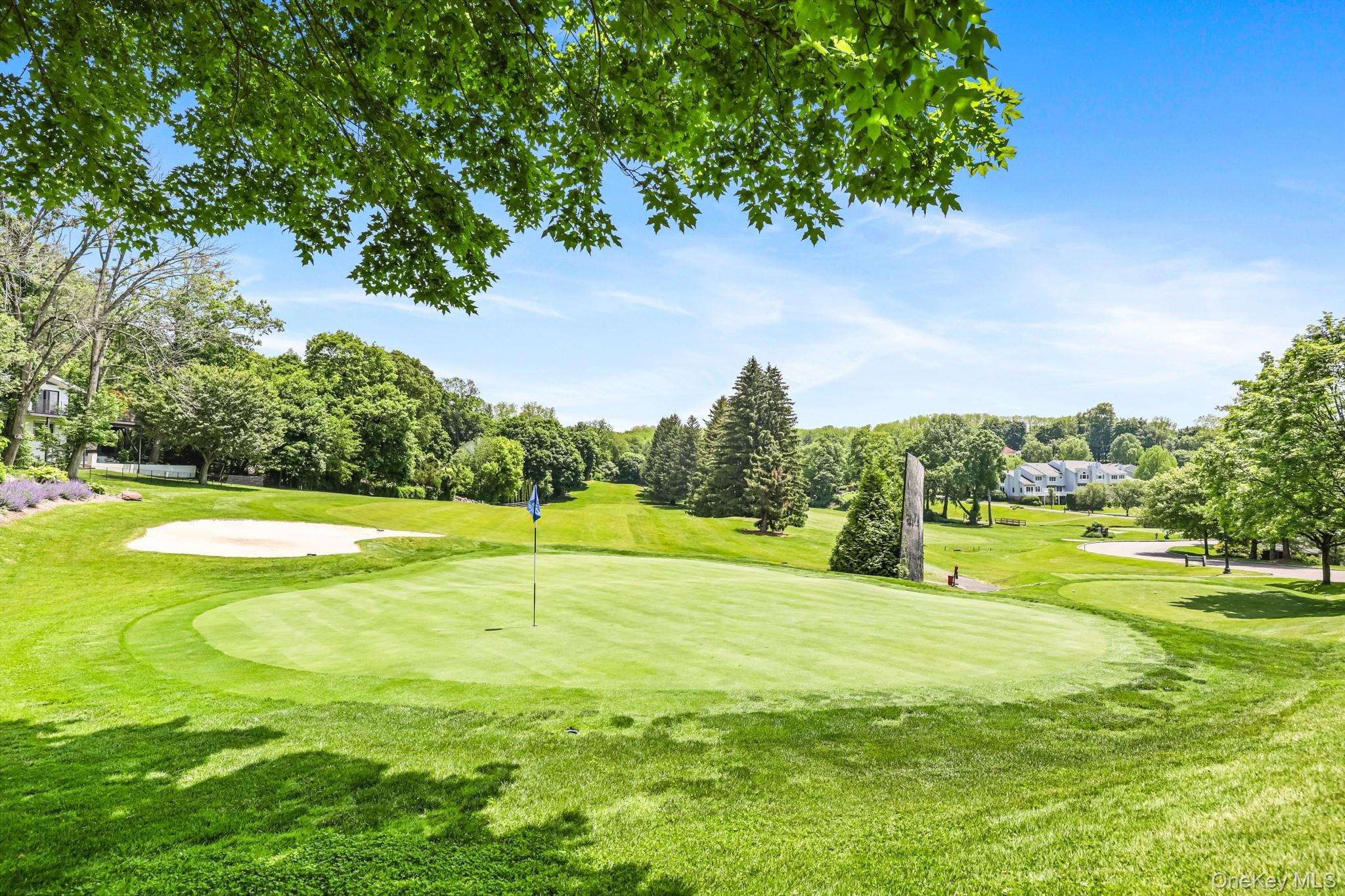 Single Family Club Westchester County, NY 10570, MLS-919097-45