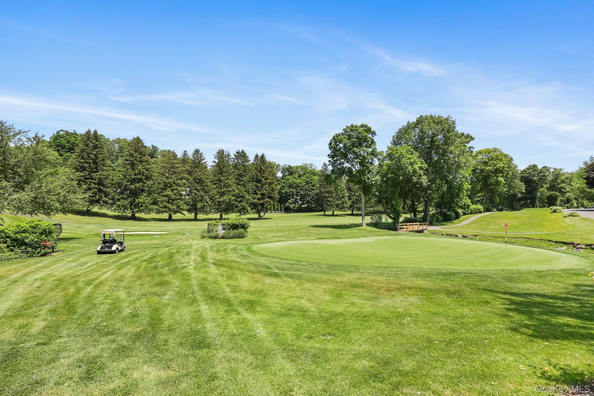 Single Family Club Westchester County, NY 10570, MLS-919097-46