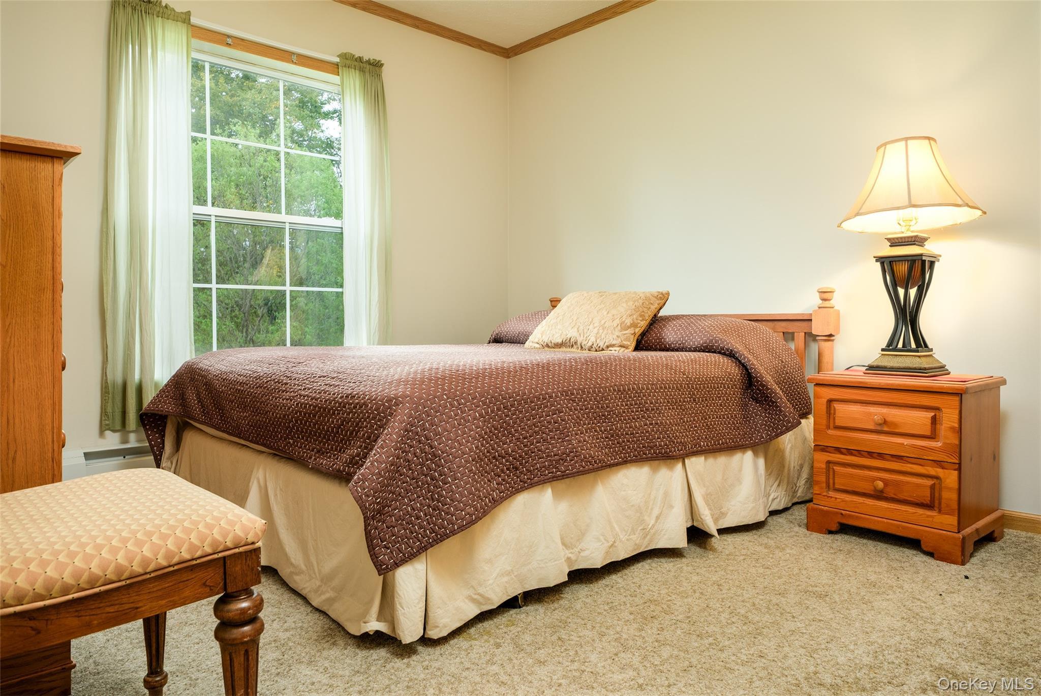 Single Family Potter Mountain Out Of Area, NY 12076, MLS-919135-21