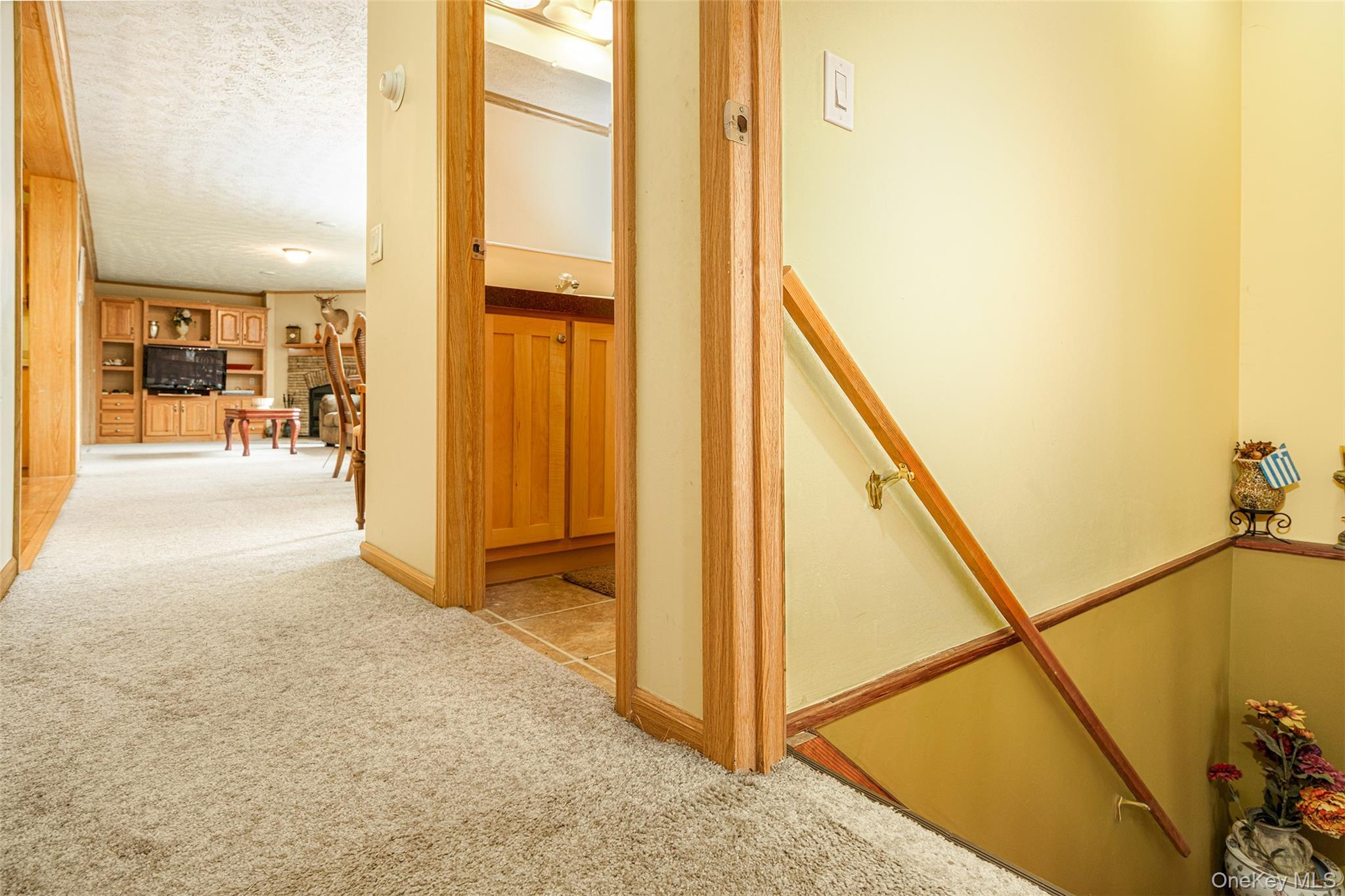 Single Family Potter Mountain Out Of Area, NY 12076, MLS-919135-25