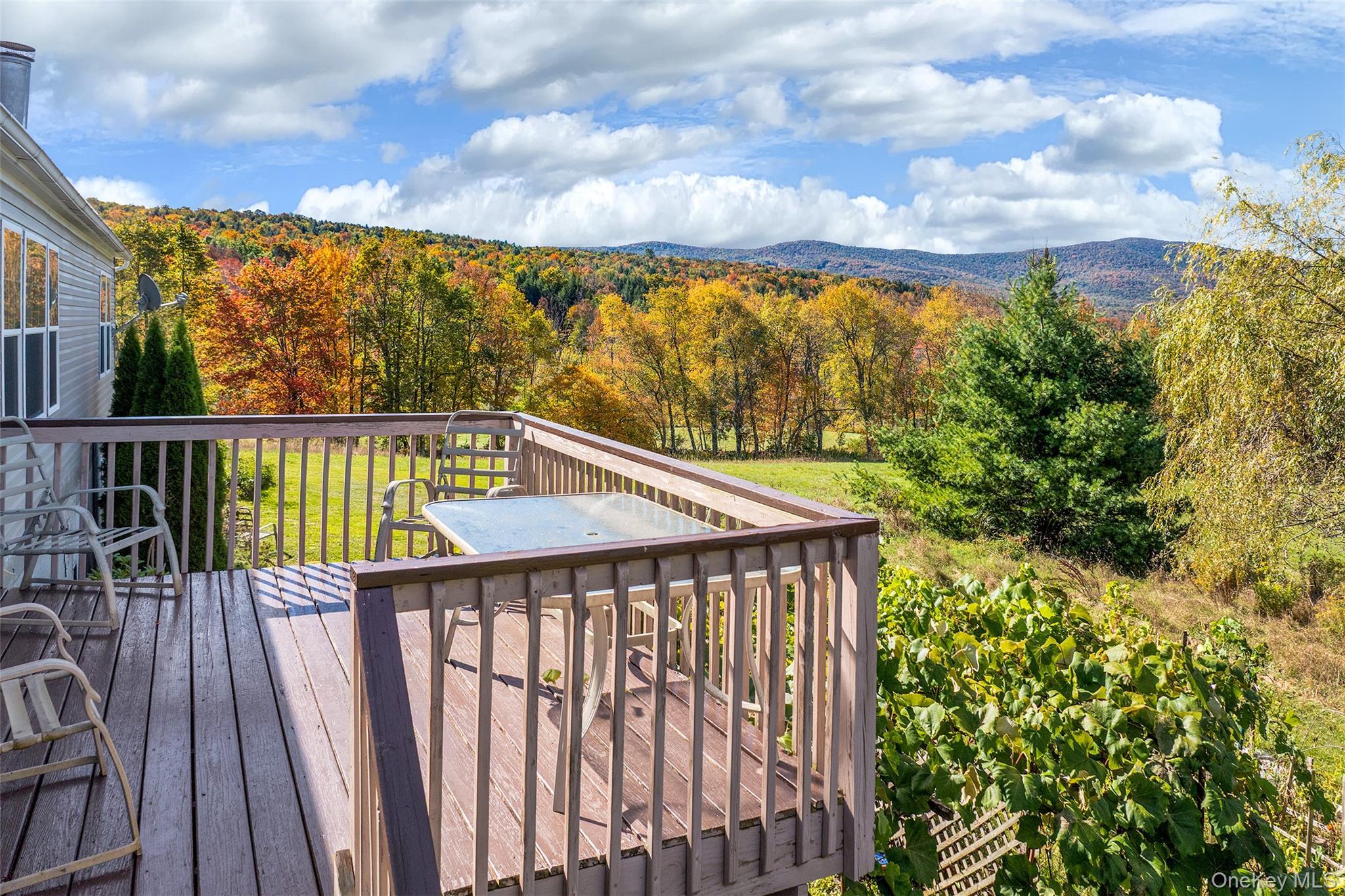 Single Family Potter Mountain Out Of Area, NY 12076, MLS-919135-39