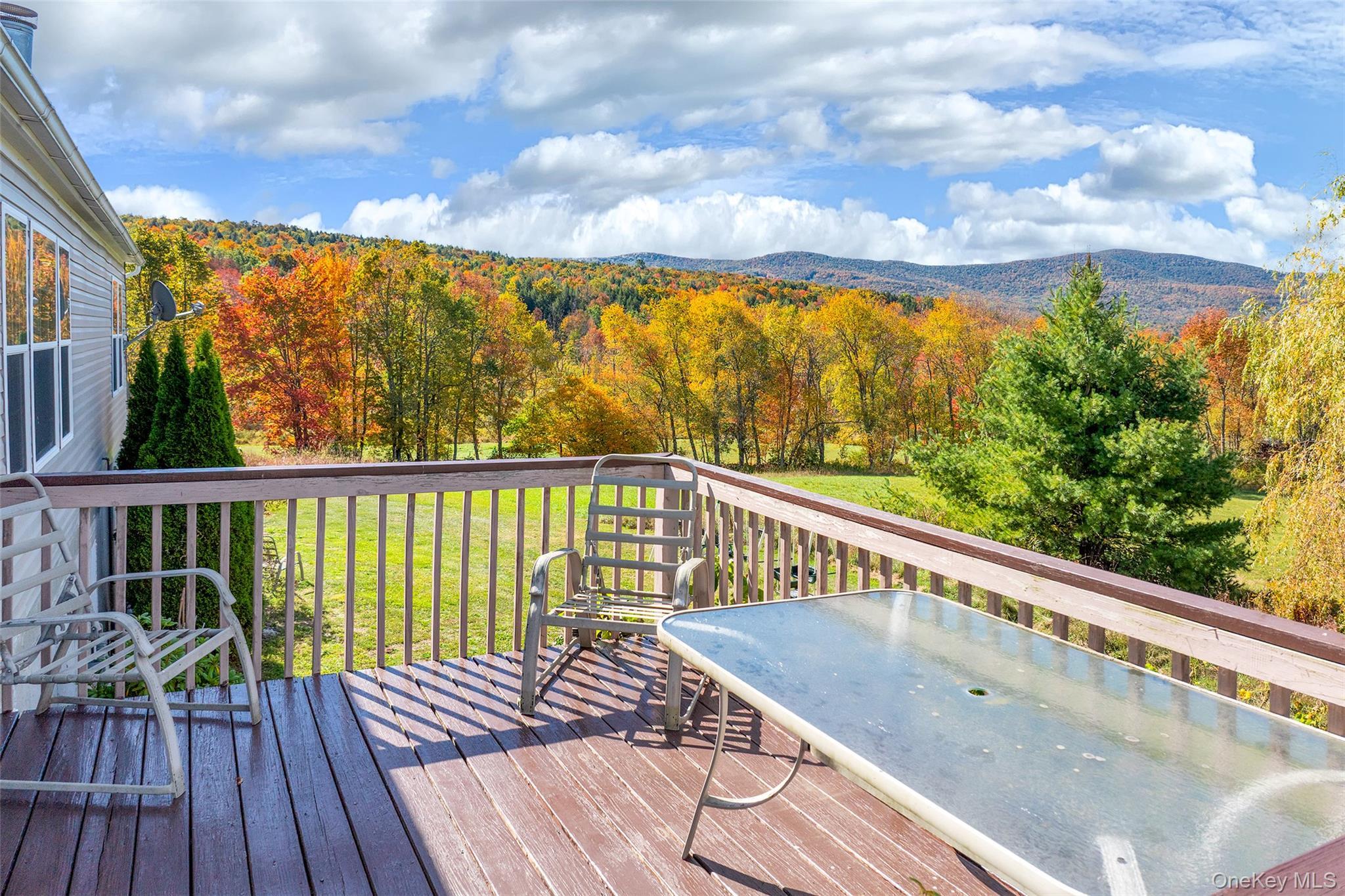 Single Family Potter Mountain Out Of Area, NY 12076, MLS-919135-40