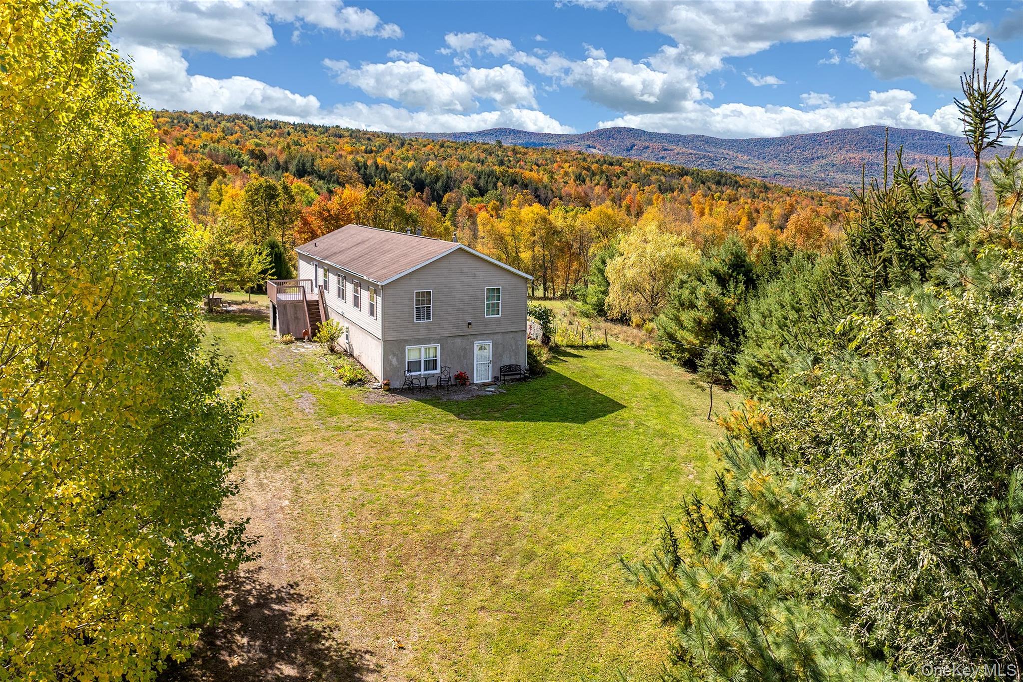 Single Family Potter Mountain  Out Of Area, NY 12076, MLS-919135-50