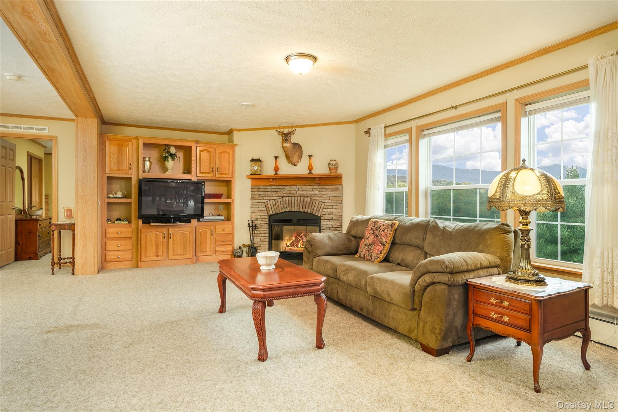 Single Family Potter Mountain Out Of Area, NY 12076, MLS-919135-7